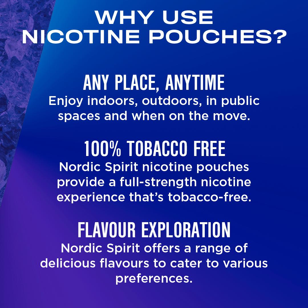 Nordic Spirit Nicotine Pouch Frosty Berry 11mg thumbnail 4