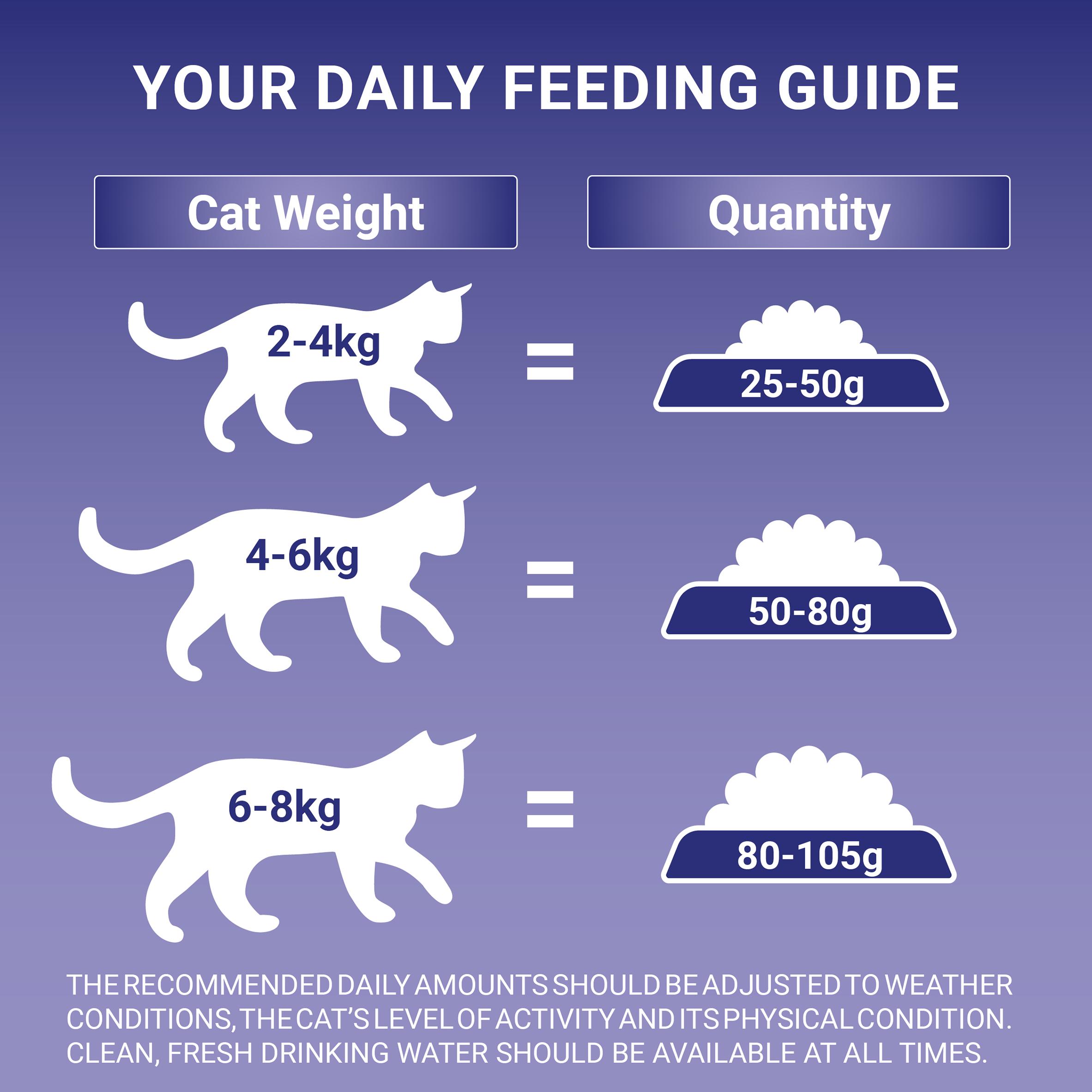 Purina One Senior 7+ Salmon Dry Cat Food 2.8kg thumbnail 5