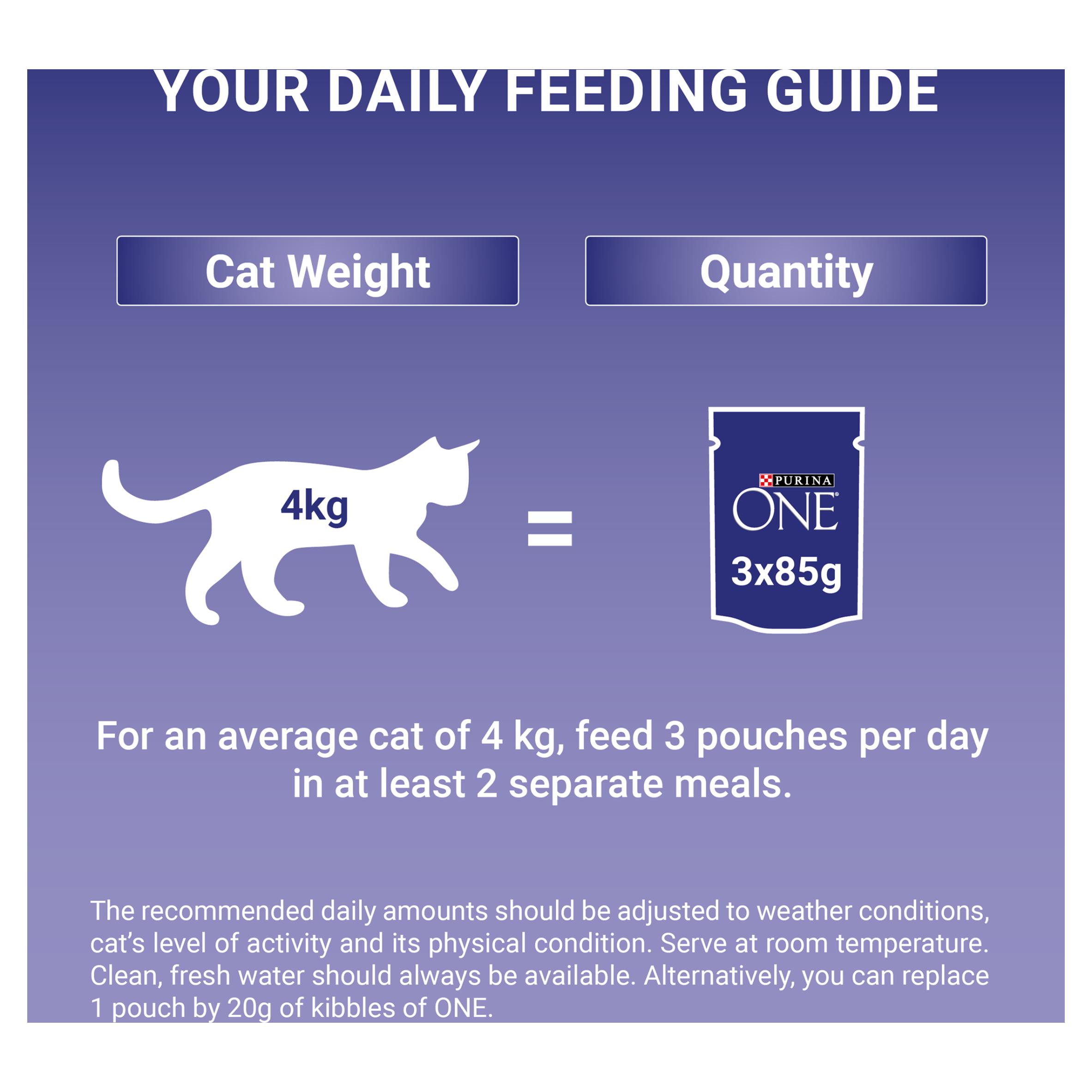 Purina One Mini Fillets Ocean Fish & Lamb Wet Cat Food 8 x 85g thumbnail 5