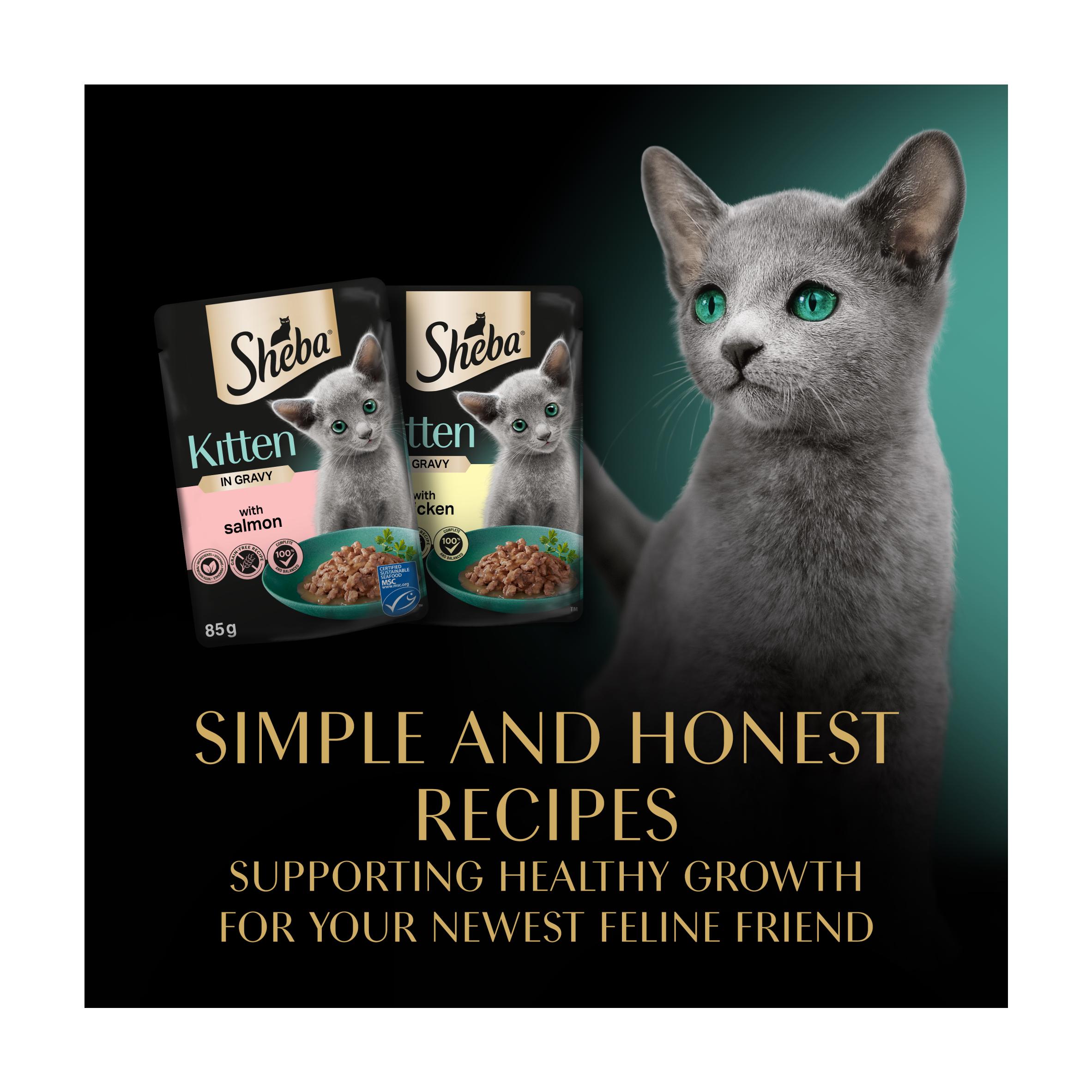 Sheba Mixed Selection Kitten Wet Cat Food Pouch in Gravy 12 x 85g thumbnail 5