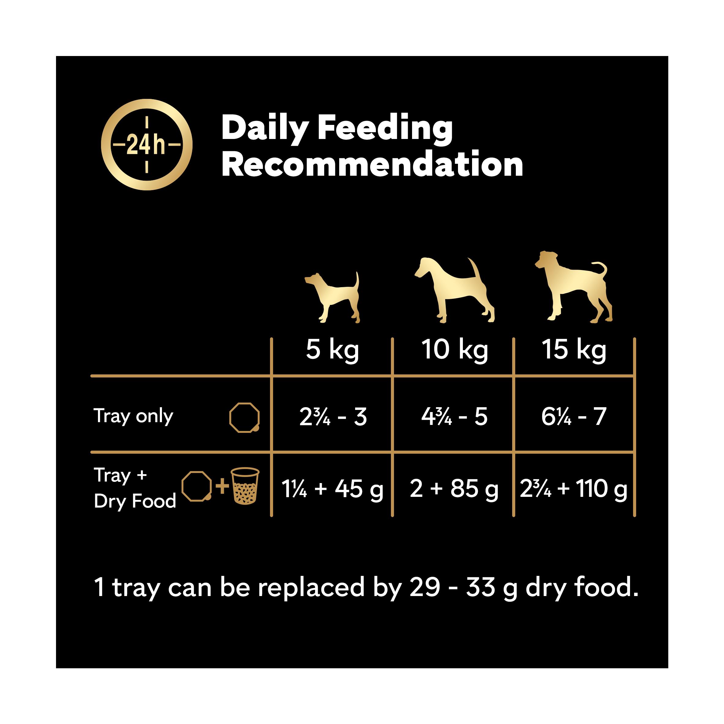 Cesar Garden Terrine Wet Dog Food Tray Mixed In Loaf 8 x 150g thumbnail 4
