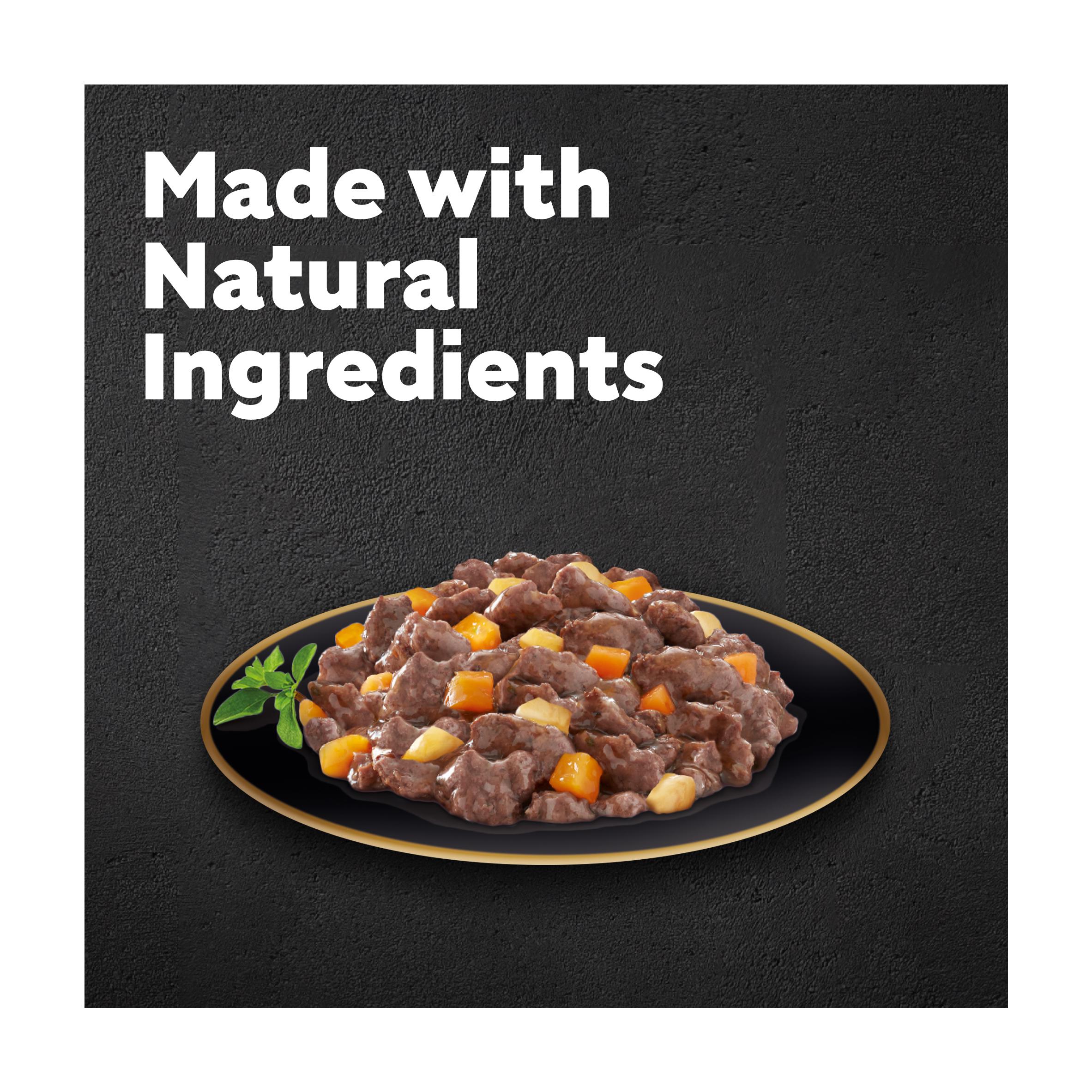 Cesar Juicy Hotpot Adult Wet Dog Food Trays Mixed In Gravy 8 x 150g thumbnail 3