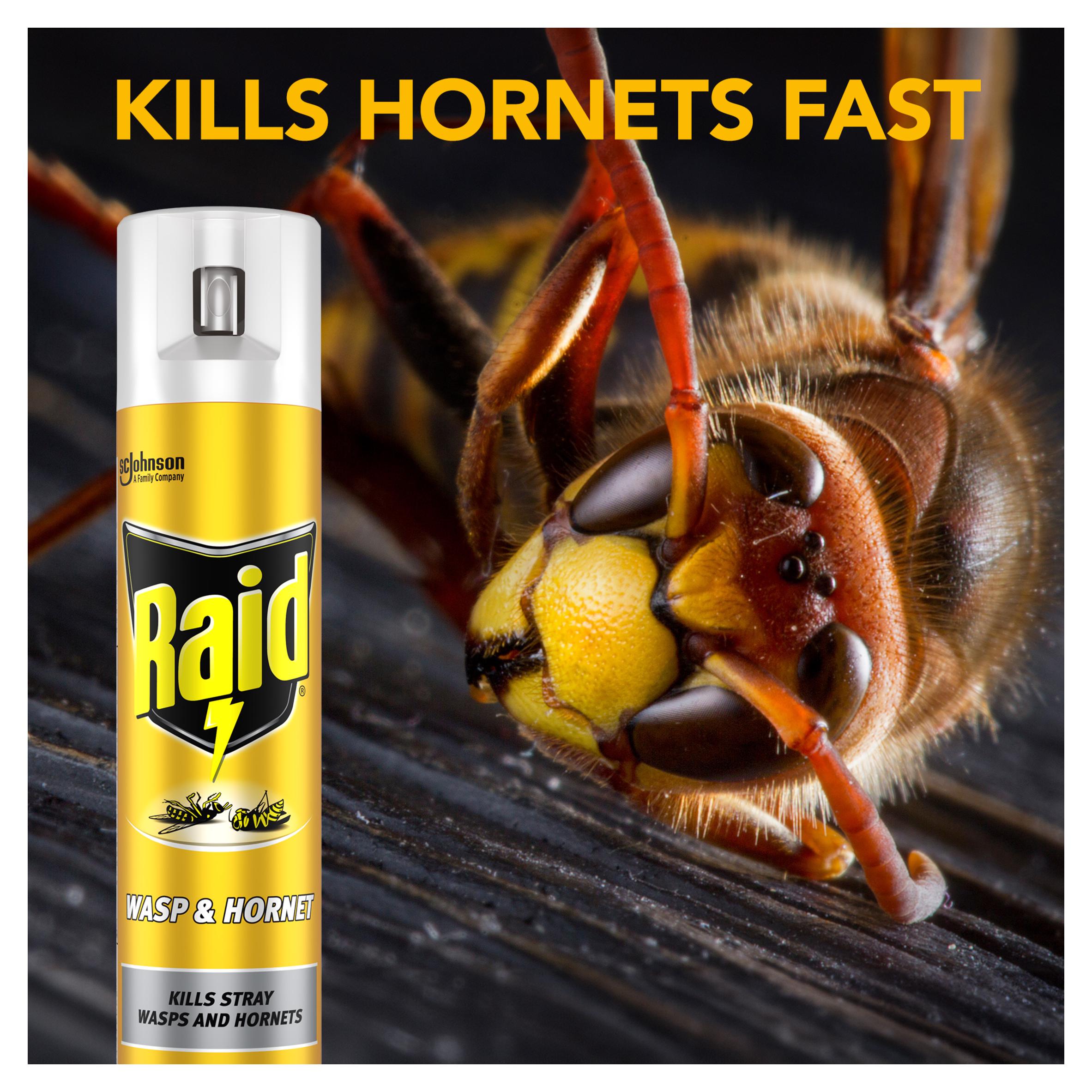 Raid Rapid Action Wasp Hornet 300ml thumbnail 2