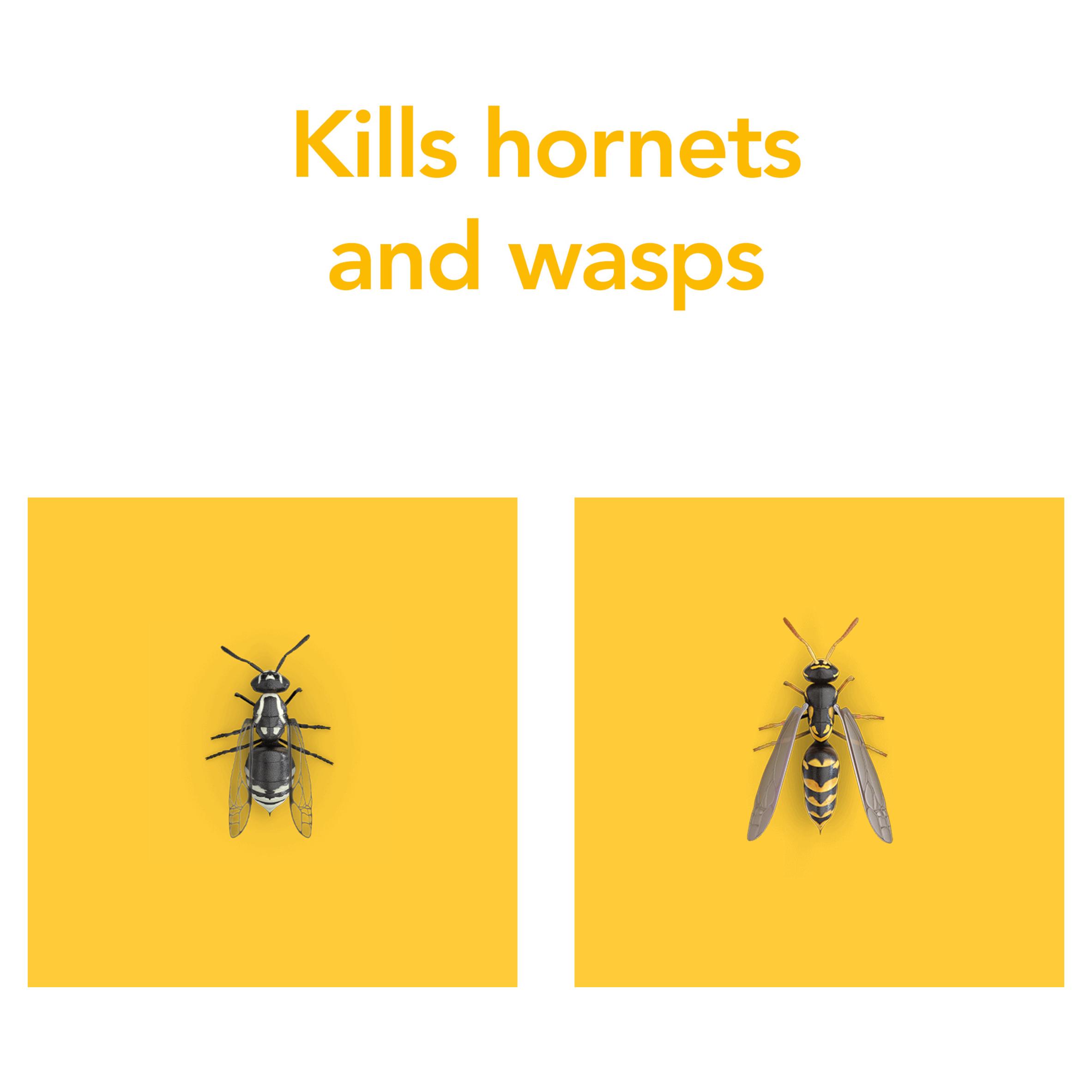 Raid Rapid Action Wasp Hornet 300ml thumbnail 3