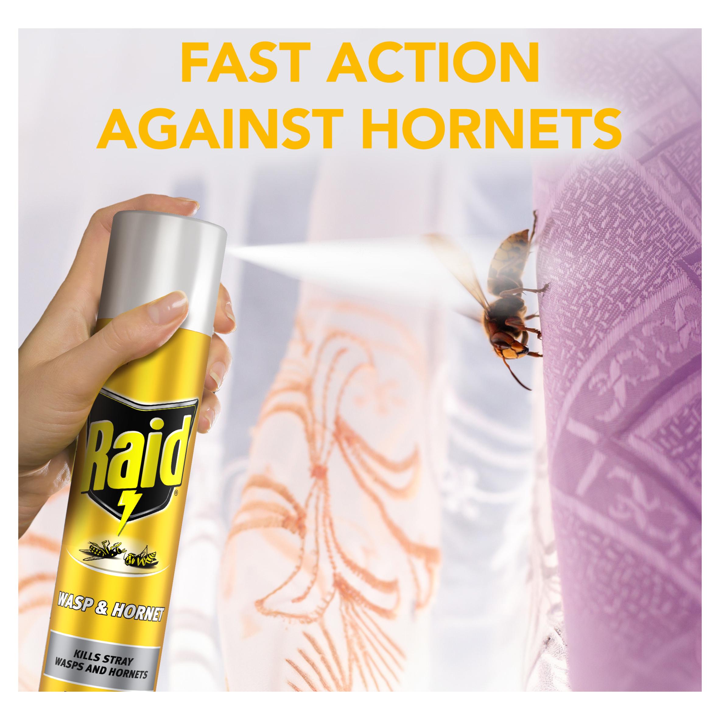 Raid Rapid Action Wasp Hornet 300ml thumbnail 4
