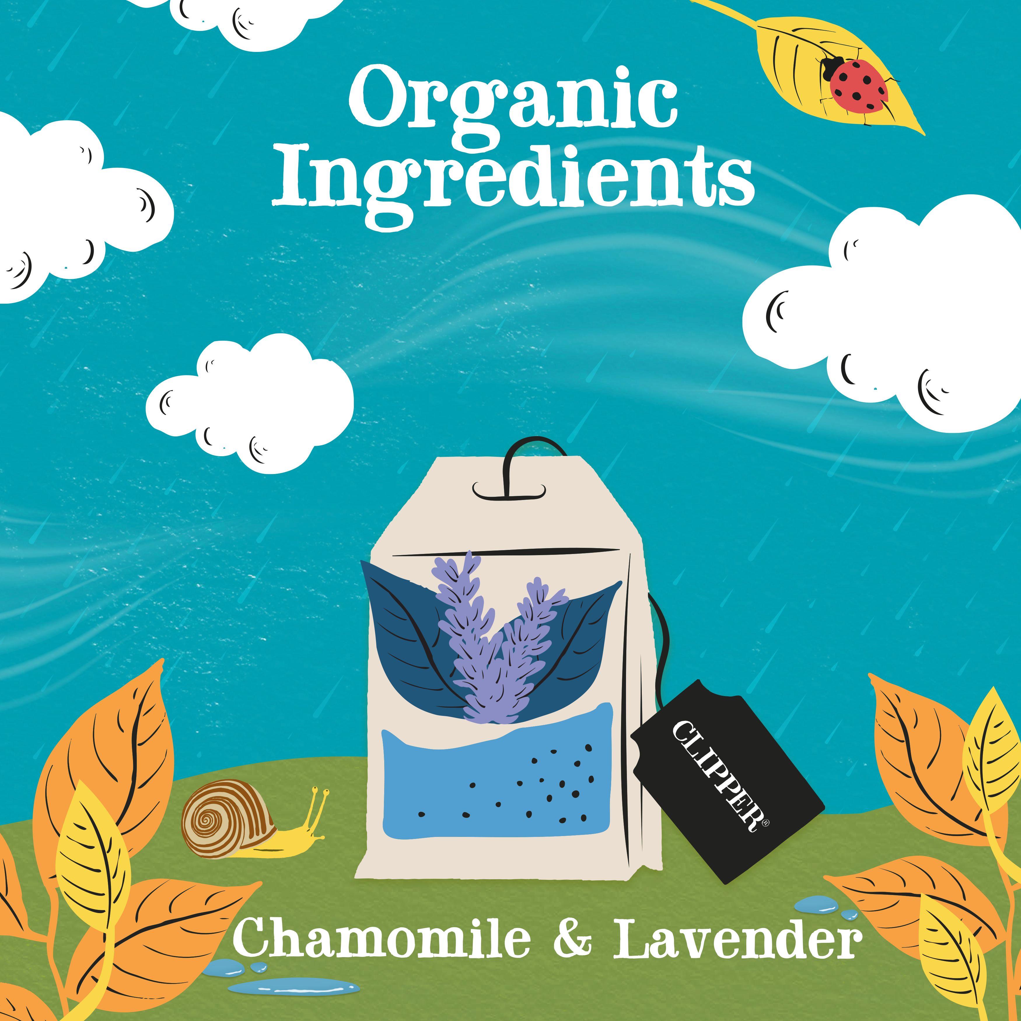 Clipper Organic Sleep Time Herbal Tea Bags x20 30g thumbnail 3