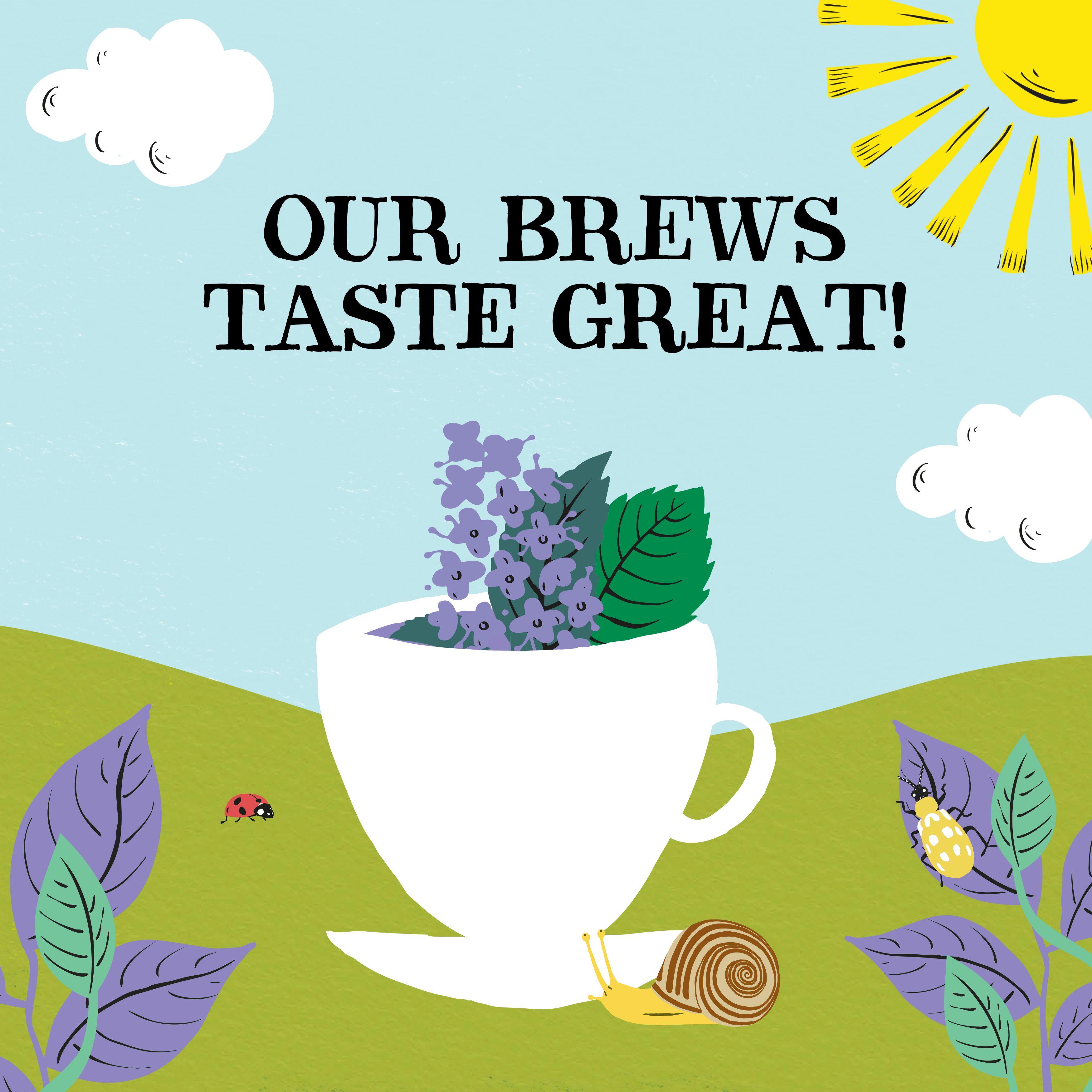 Clipper Peppermint & Spearmint Organic Infusion Tea 34g thumbnail 5