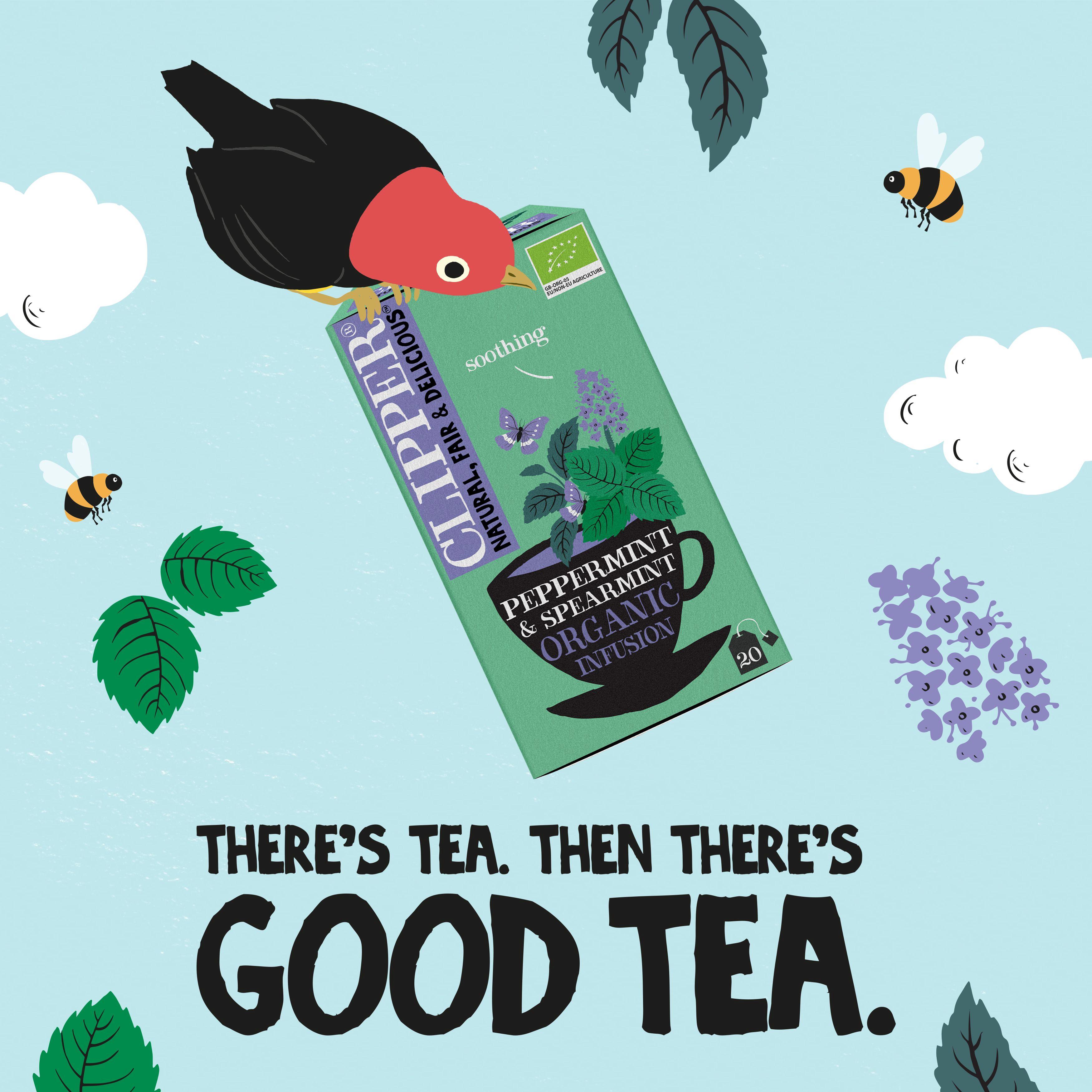 Clipper Peppermint & Spearmint Organic Infusion Tea 34g thumbnail 6
