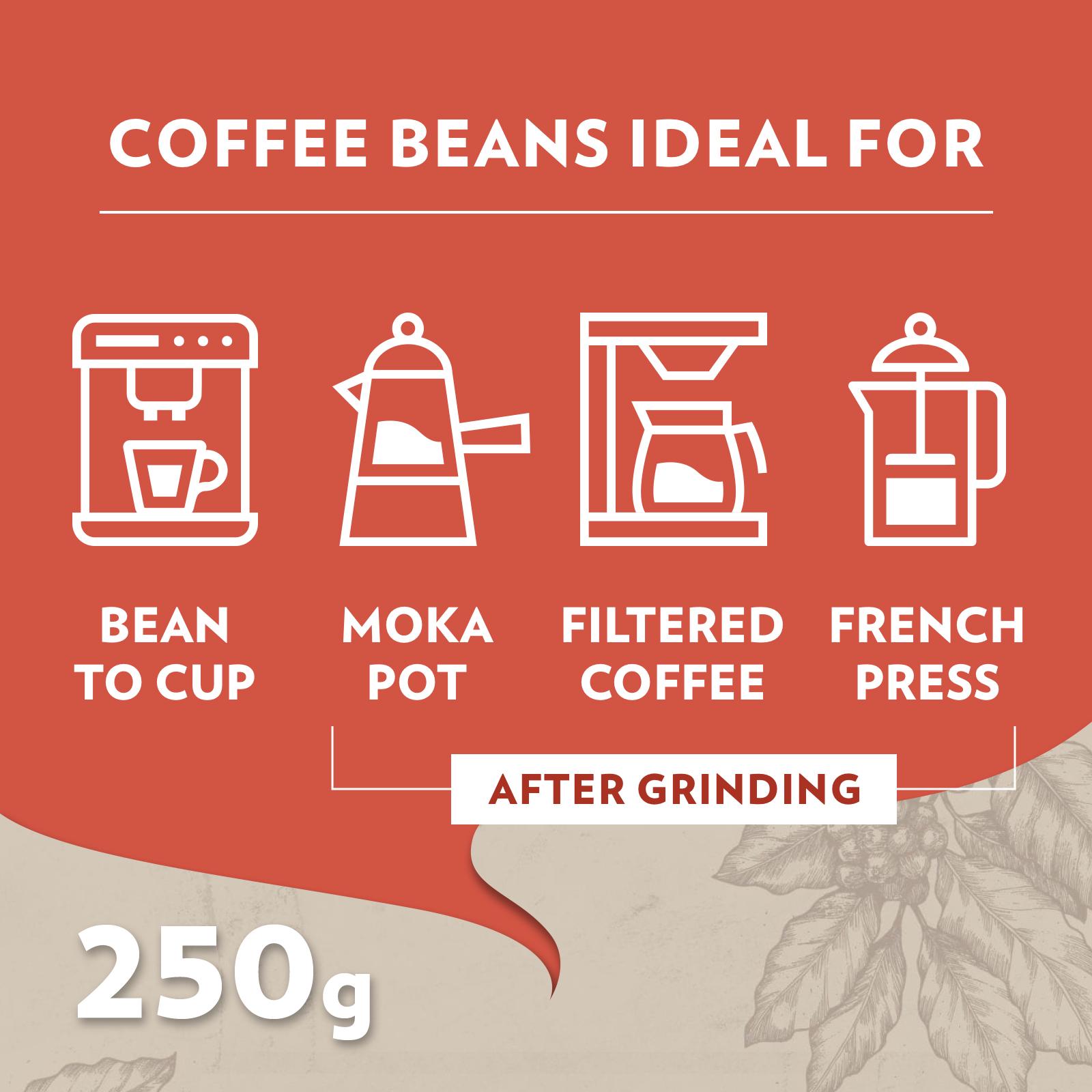 Lavazza Tales of Roma Coffee Beans 250g thumbnail 5