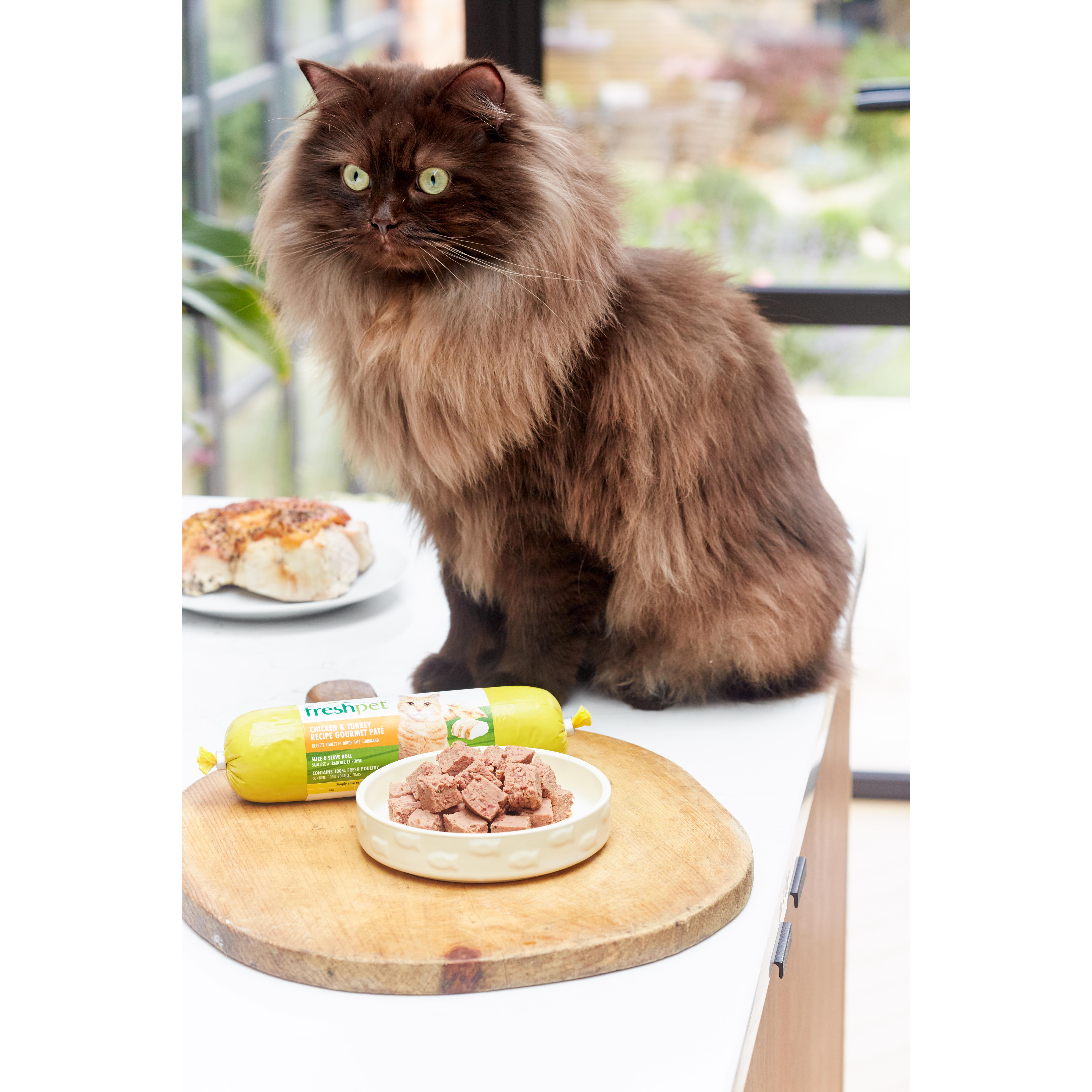Freshpet Chicken & Turkey Recipe Gourmet Pate 350g thumbnail 5