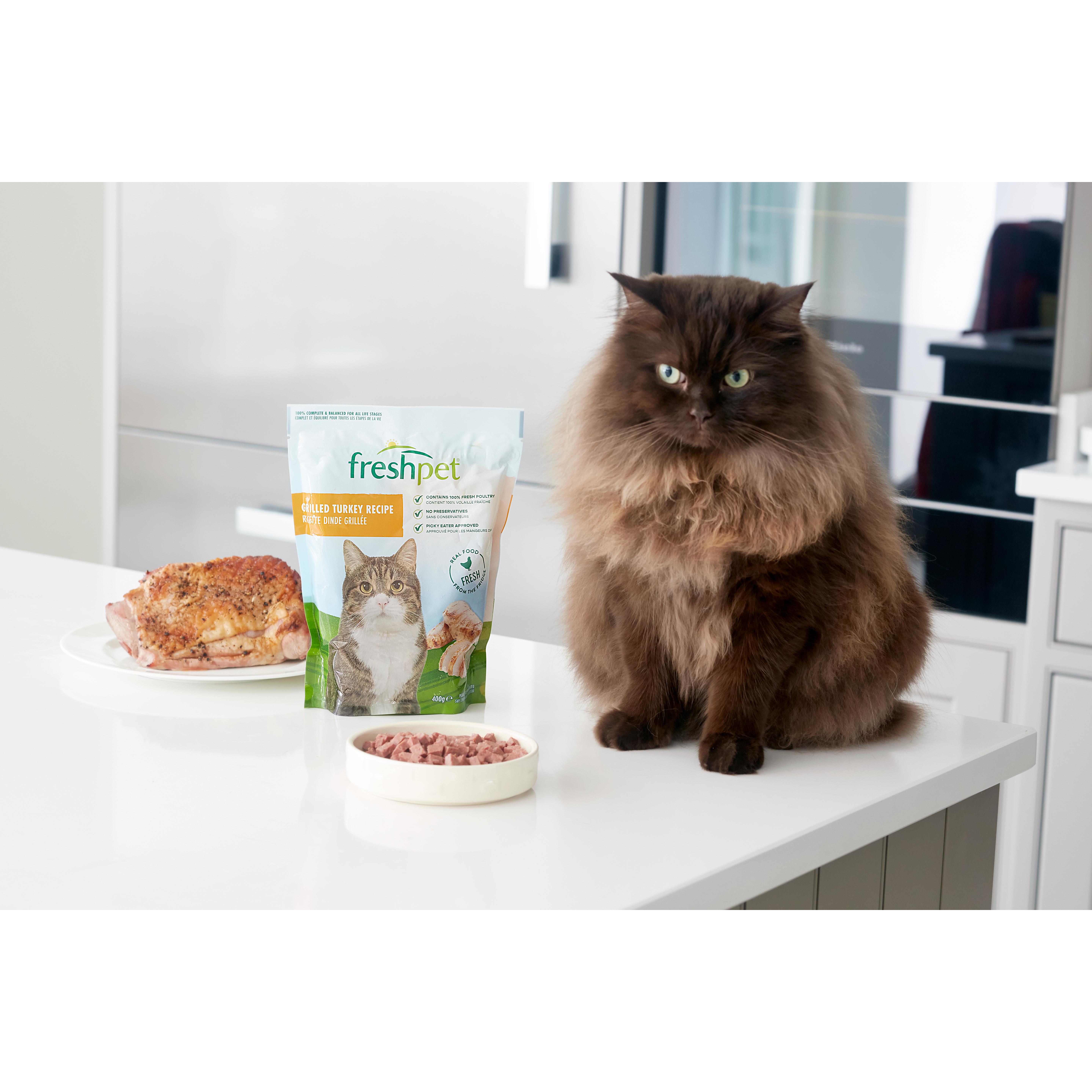 Freshpet Grilled Turkey Recipe 400g thumbnail 4
