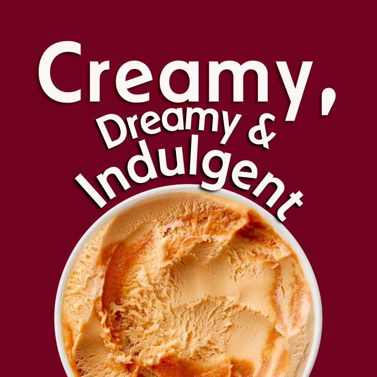 Haagen-Dazs Dulce De Leche Ice Cream 460ml thumbnail 3
