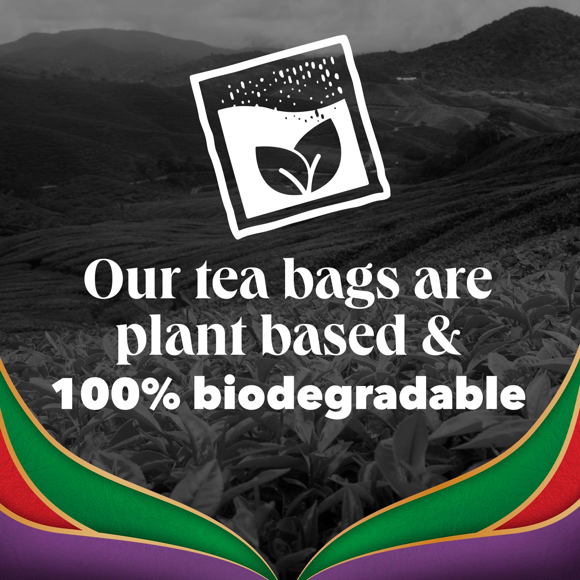PG Tips Earl Grey Special Blend Tea Bags x70 175g thumbnail 5