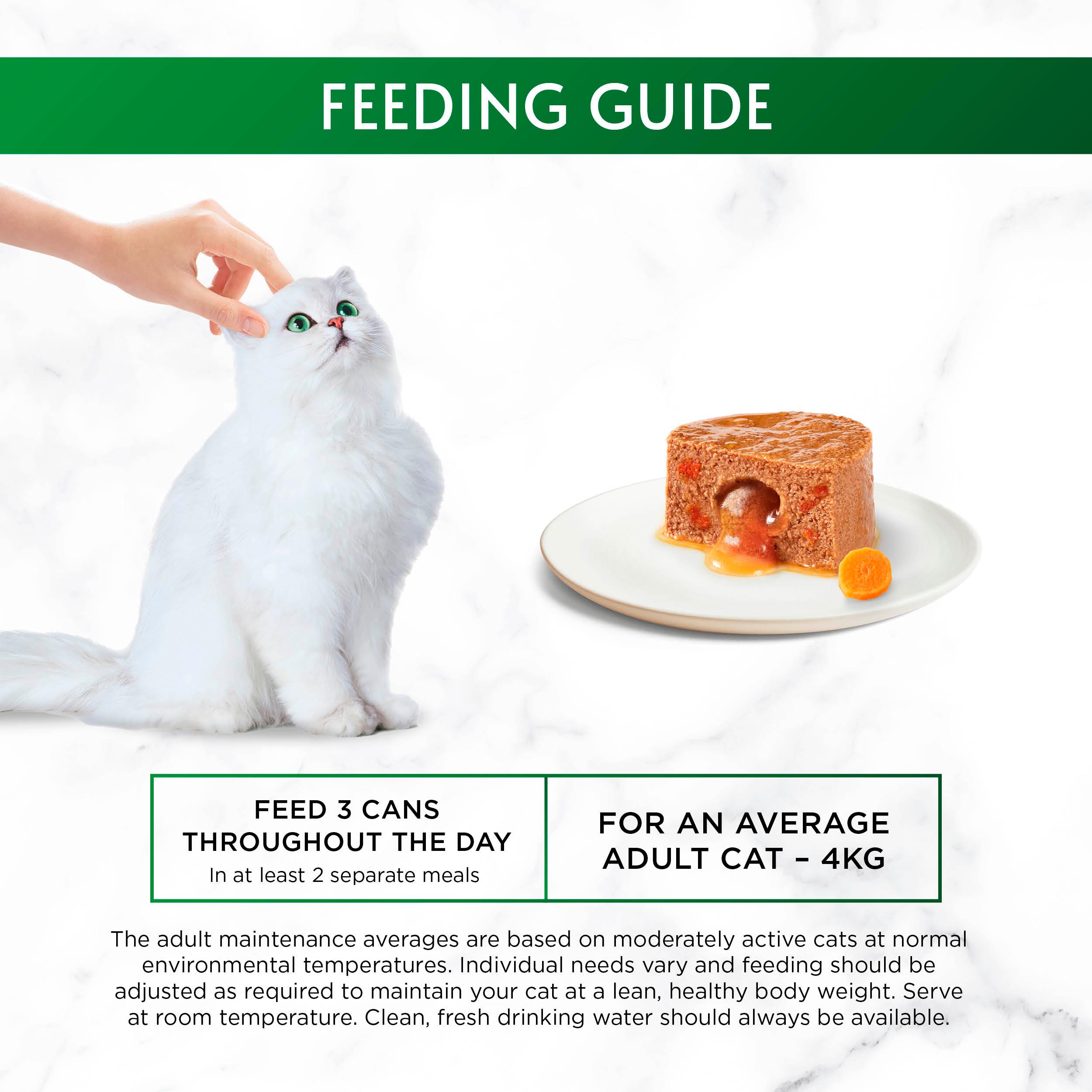 Gourmet Nature's Creations Gravy Heart Wet Cat Food 8 x 85g thumbnail 5