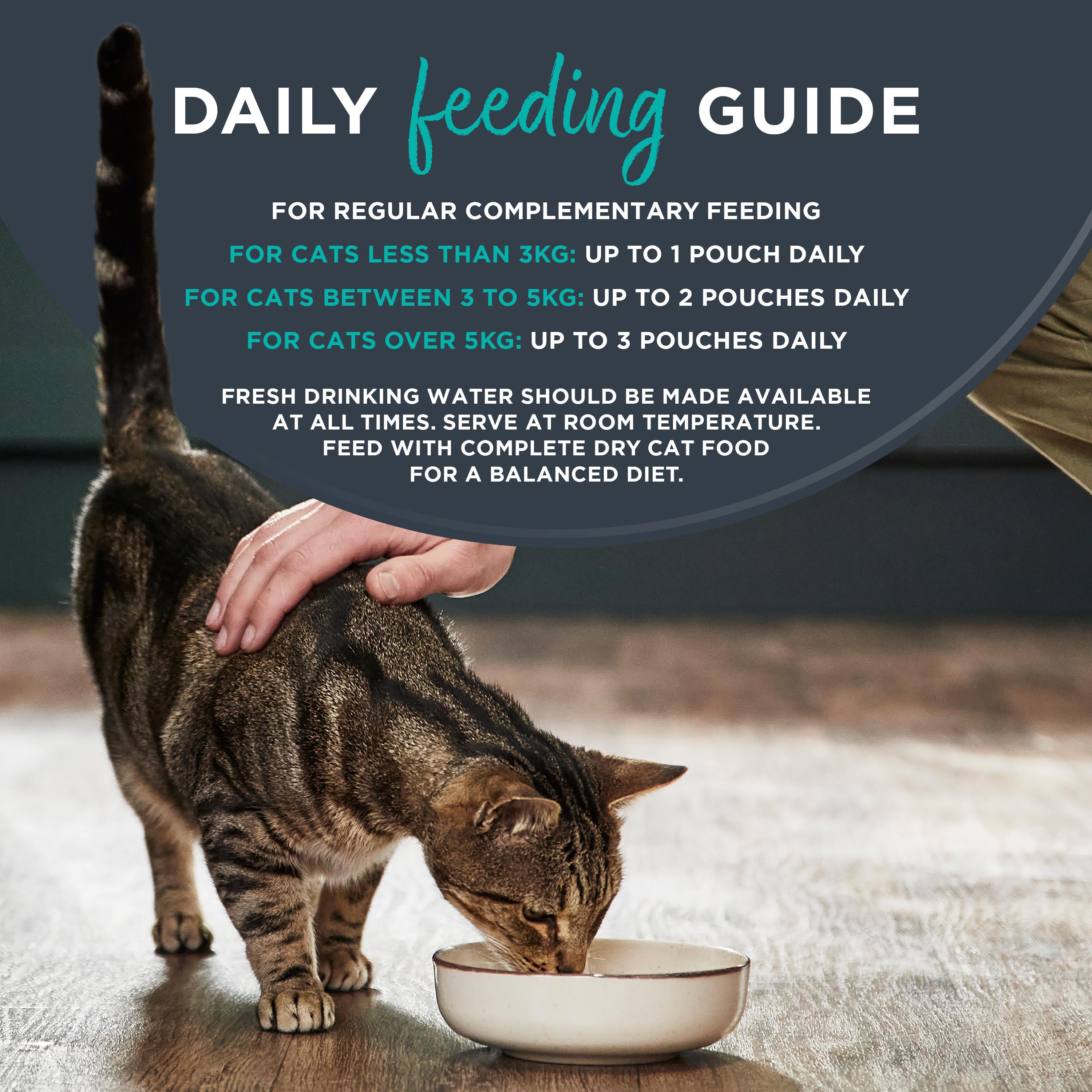 Encore Tuna Fillet with Crab in Broth Dry Cat Food 70g thumbnail 4