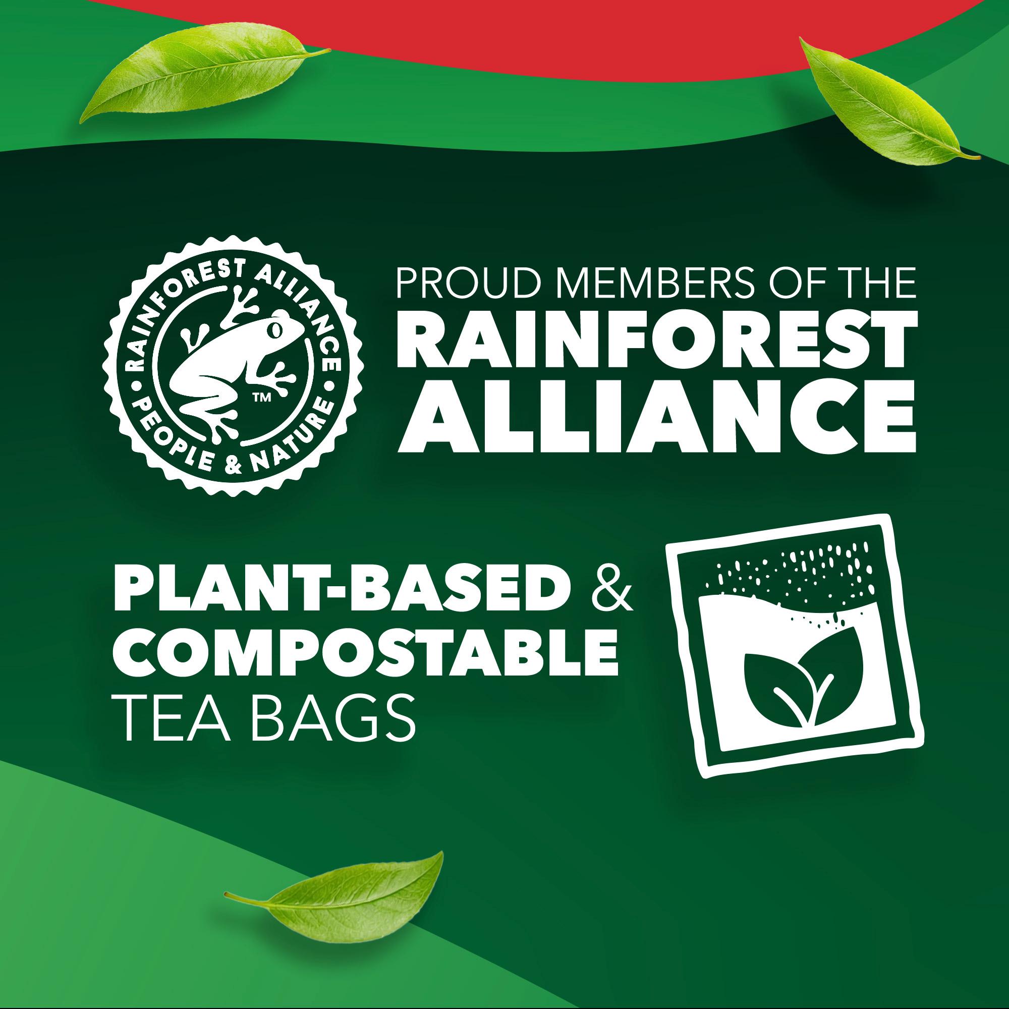 PG Tips Original Tea Bags x240 696g thumbnail 5