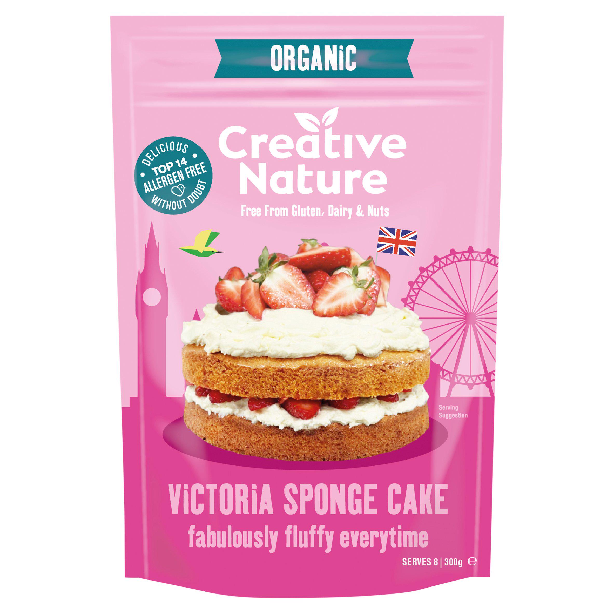 Creative Nature Cacao Rich Chocolate Cake Baking Mix