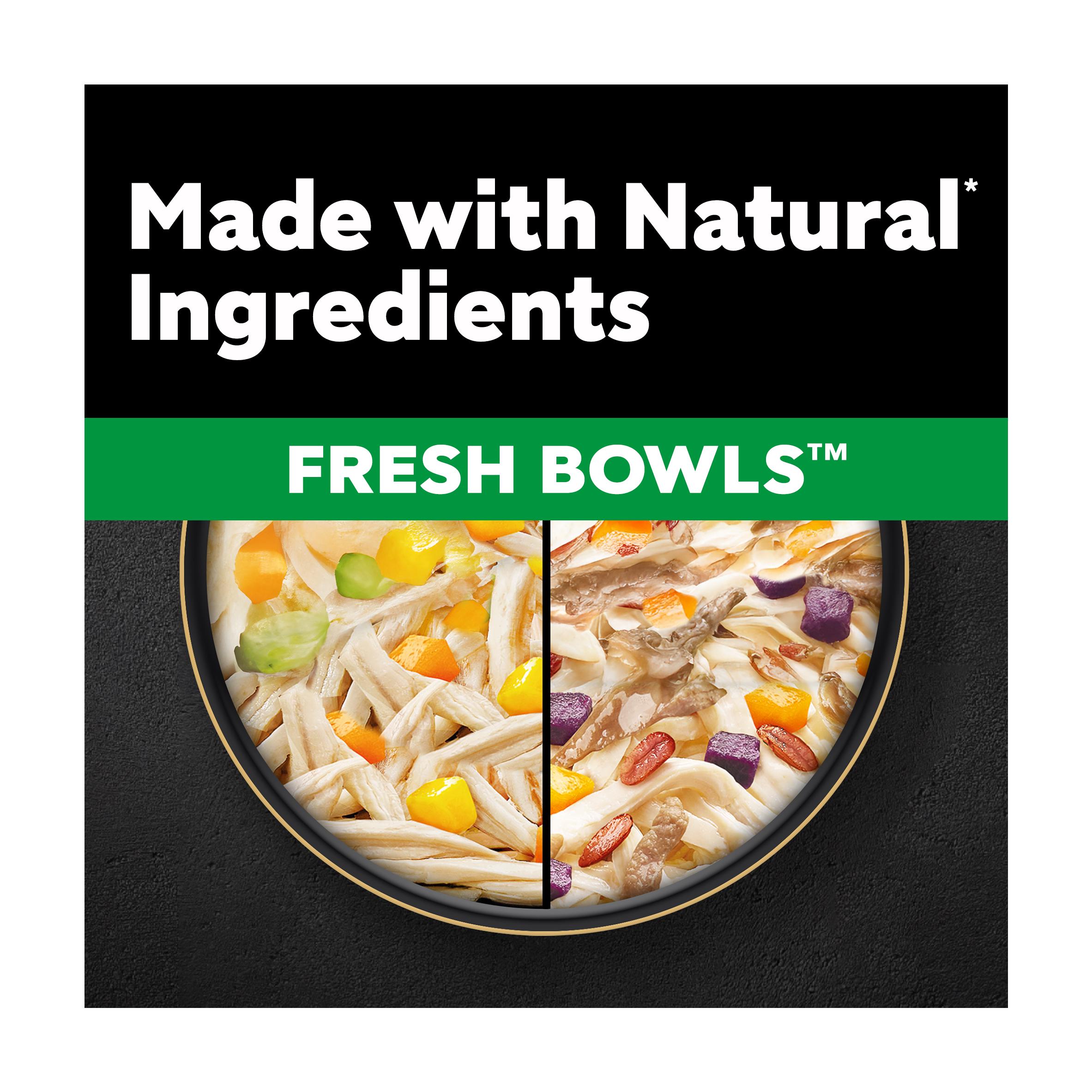 Cesar Fresh Bowl Adult Wet Dog Food Chicken & Duck Taster Multipack 6 x 85g thumbnail 2