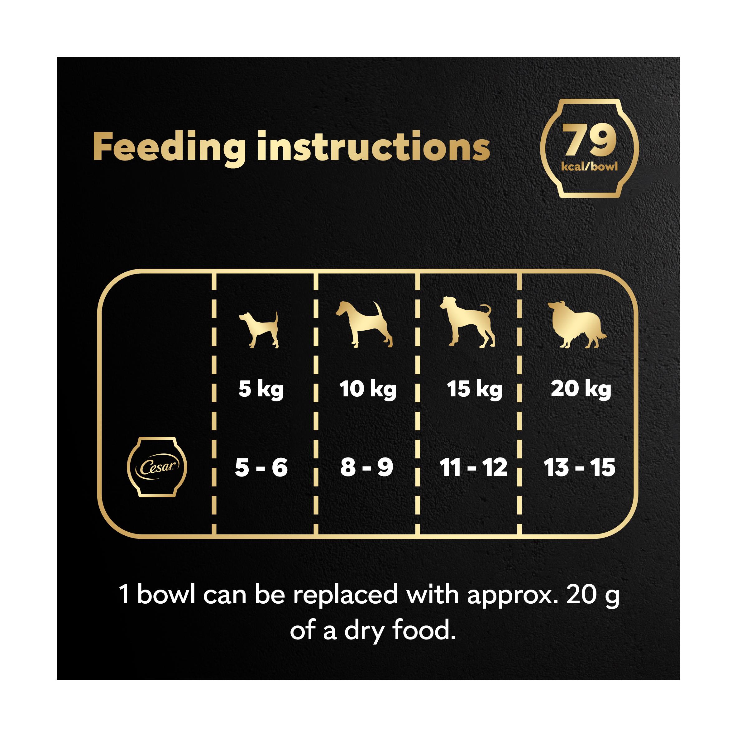 Cesar Fresh Bowl Adult Wet Dog Food Chicken & Duck Taster Multipack 6 x 85g thumbnail 3