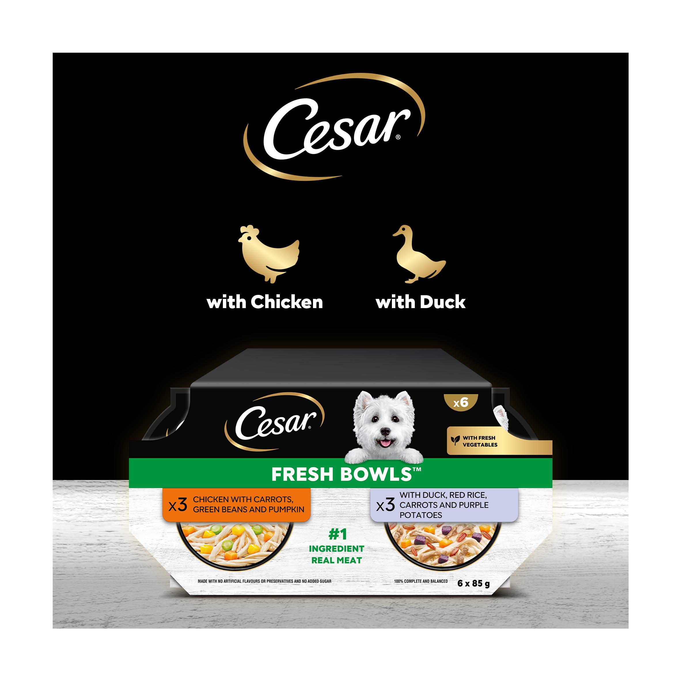 Cesar Fresh Bowl Adult Wet Dog Food Chicken & Duck Taster Multipack 6 x 85g thumbnail 5