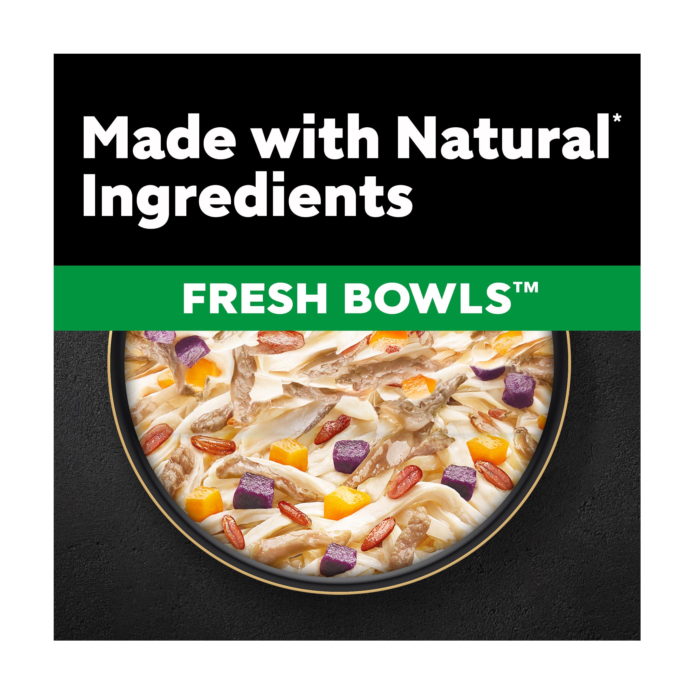 Cesar Fresh Bowl Adult Wet Dog Food with Duck, Red Rice, Carrots, Potato in Gravy 85g thumbnail 2