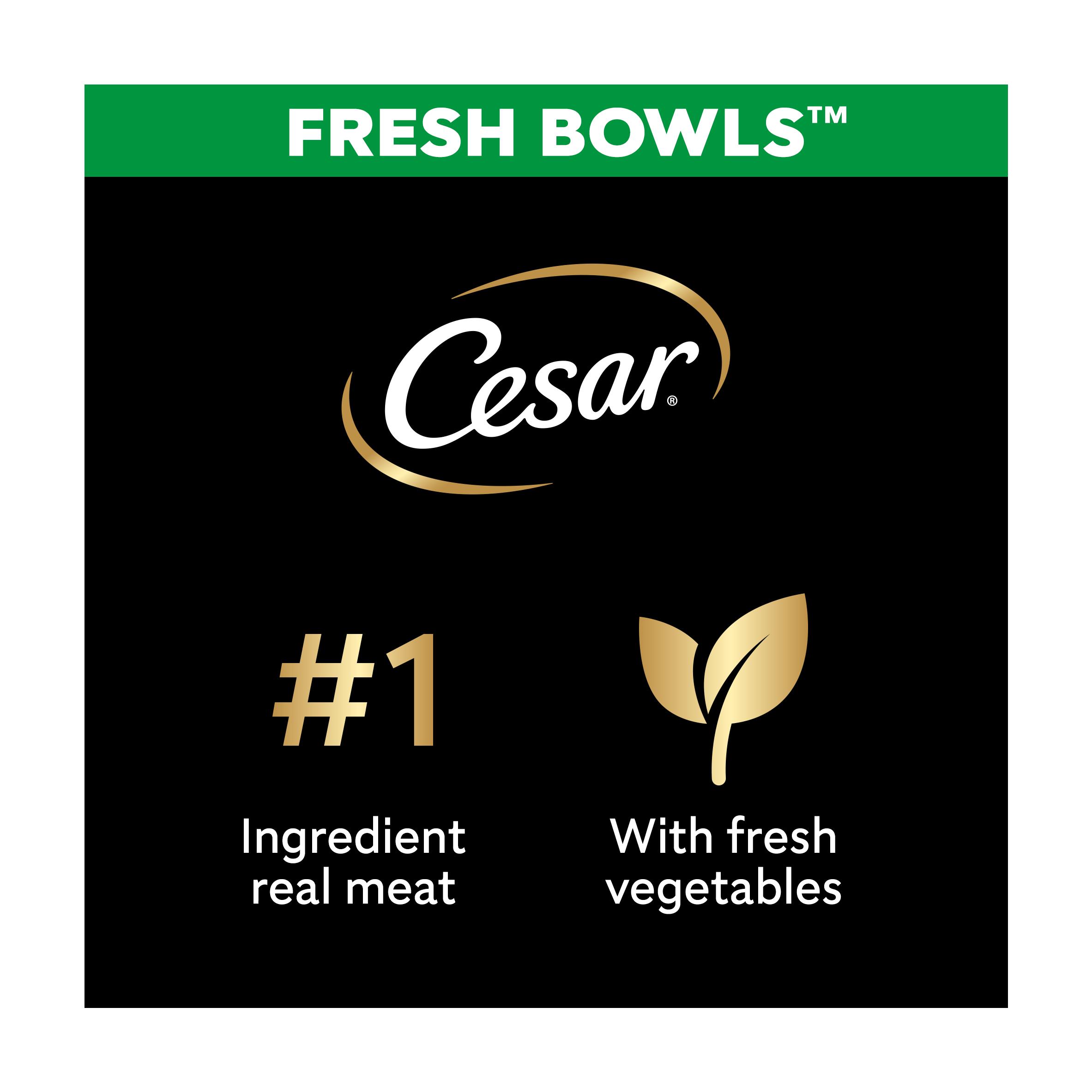 Cesar Fresh Bowl Adult Wet Dog Food with Duck, Red Rice, Carrots, Potato in Gravy 85g thumbnail 3