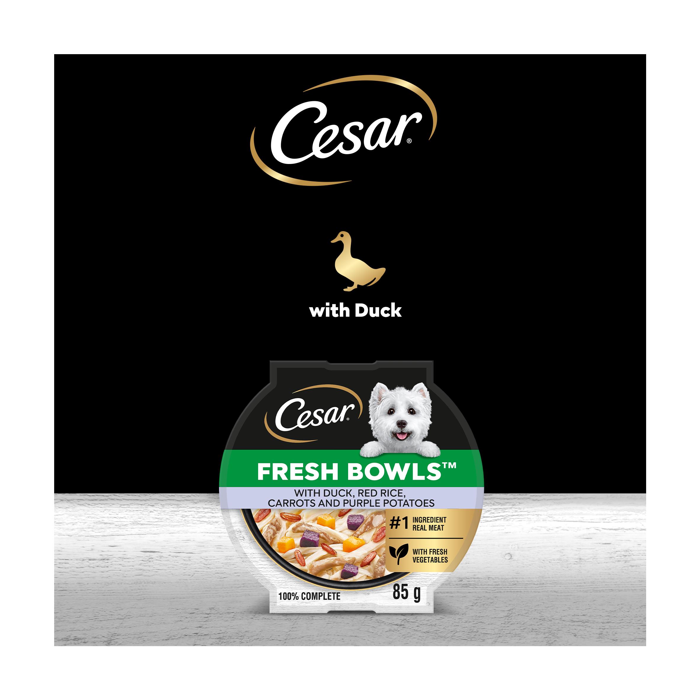 Cesar Fresh Bowl Adult Wet Dog Food with Duck, Red Rice, Carrots, Potato in Gravy 85g thumbnail 5