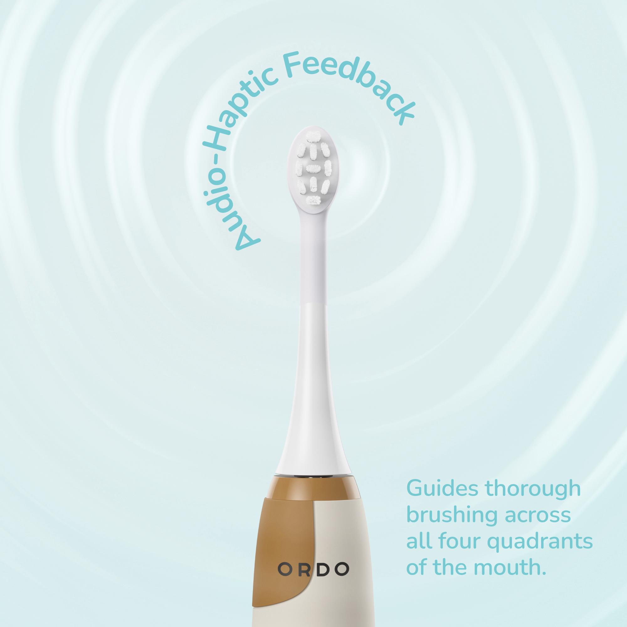 Ordo Original Squishmallows Sonic Kids Rechargeable Toothbrush thumbnail 5