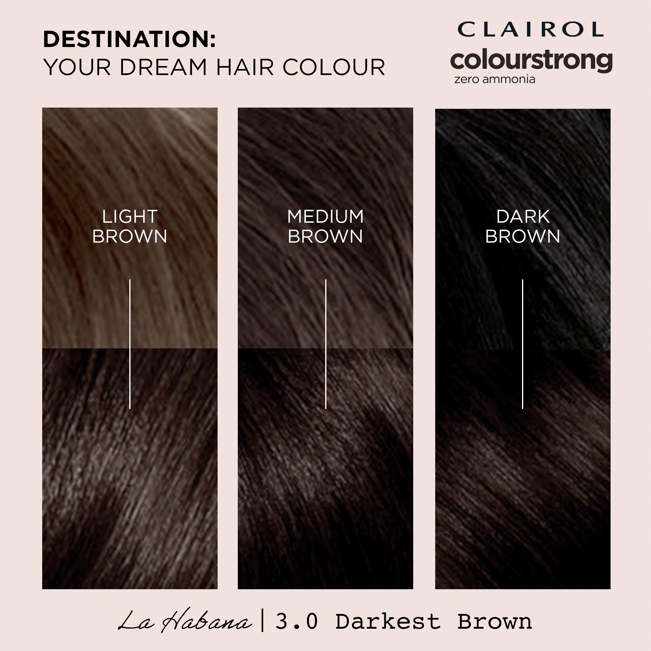 Clairol Colour Strong Darkest Brown 3.0 Permanent Hair Dye thumbnail 2