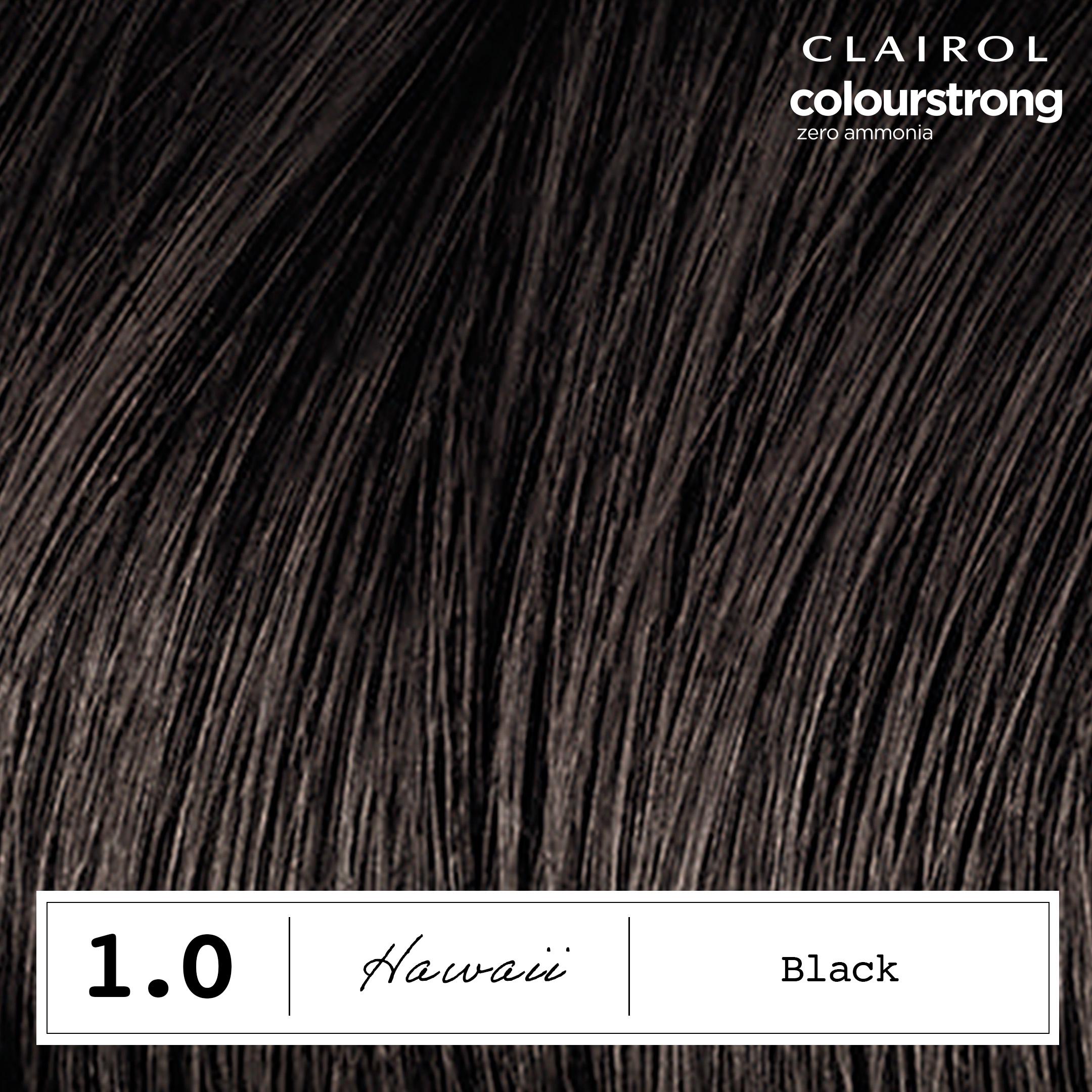 Clairol Colour Strong Black 1.0 Permanent Hair Dye thumbnail 4