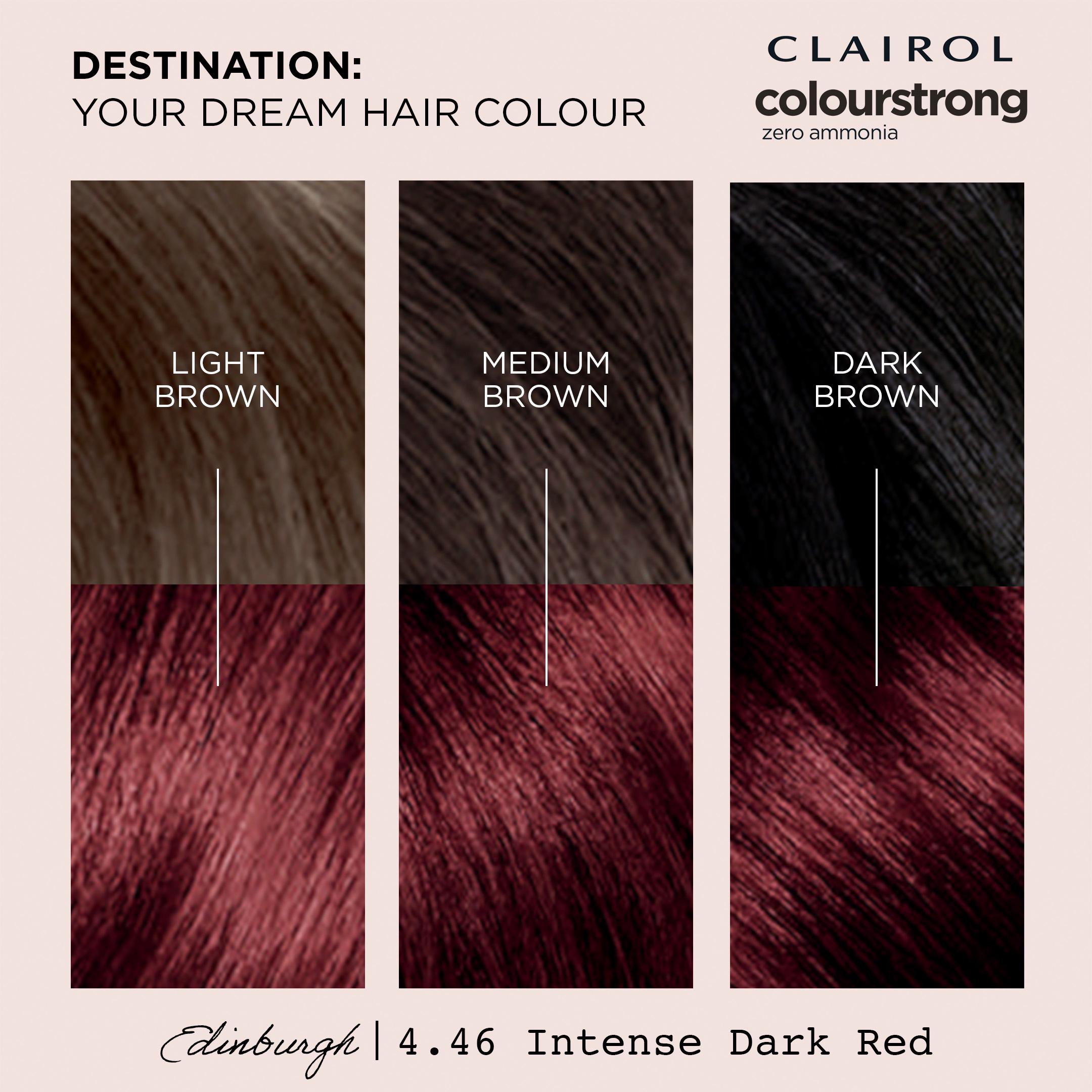 Clairol Colour Strong Intense Dark Red 4.46 Permanent Hair Dye thumbnail 2