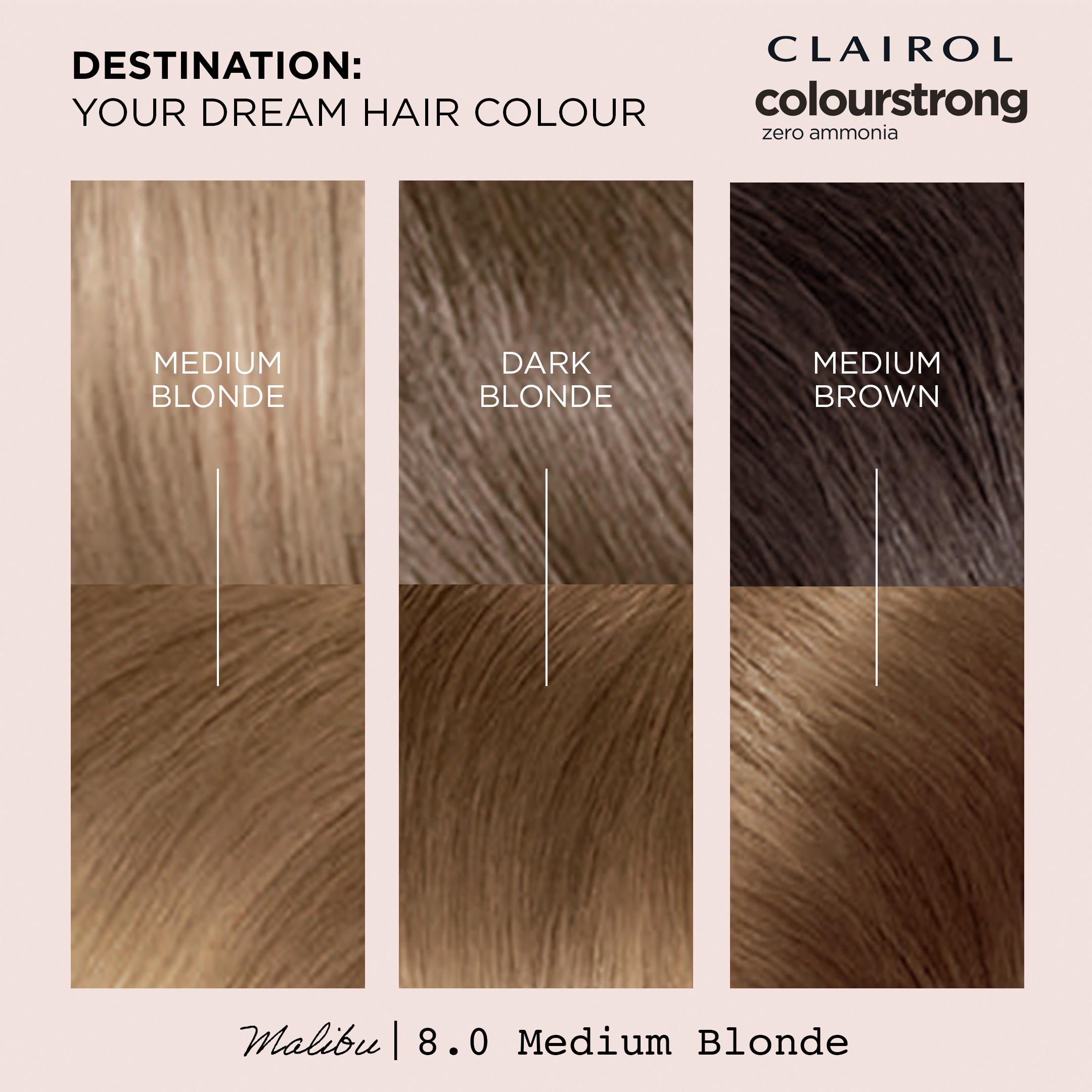 Clairol Colour Strong Medium Blonde 8.0 Permanent Hair Dye thumbnail 2