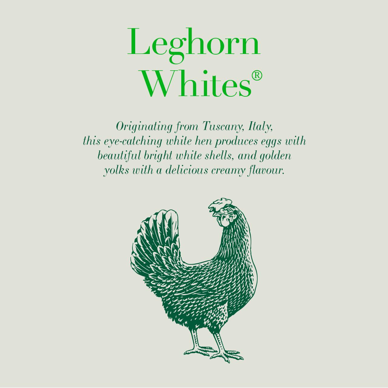 Clarence Court Traditional Leghorn Whites Large Free Range Eggs x6 thumbnail 2