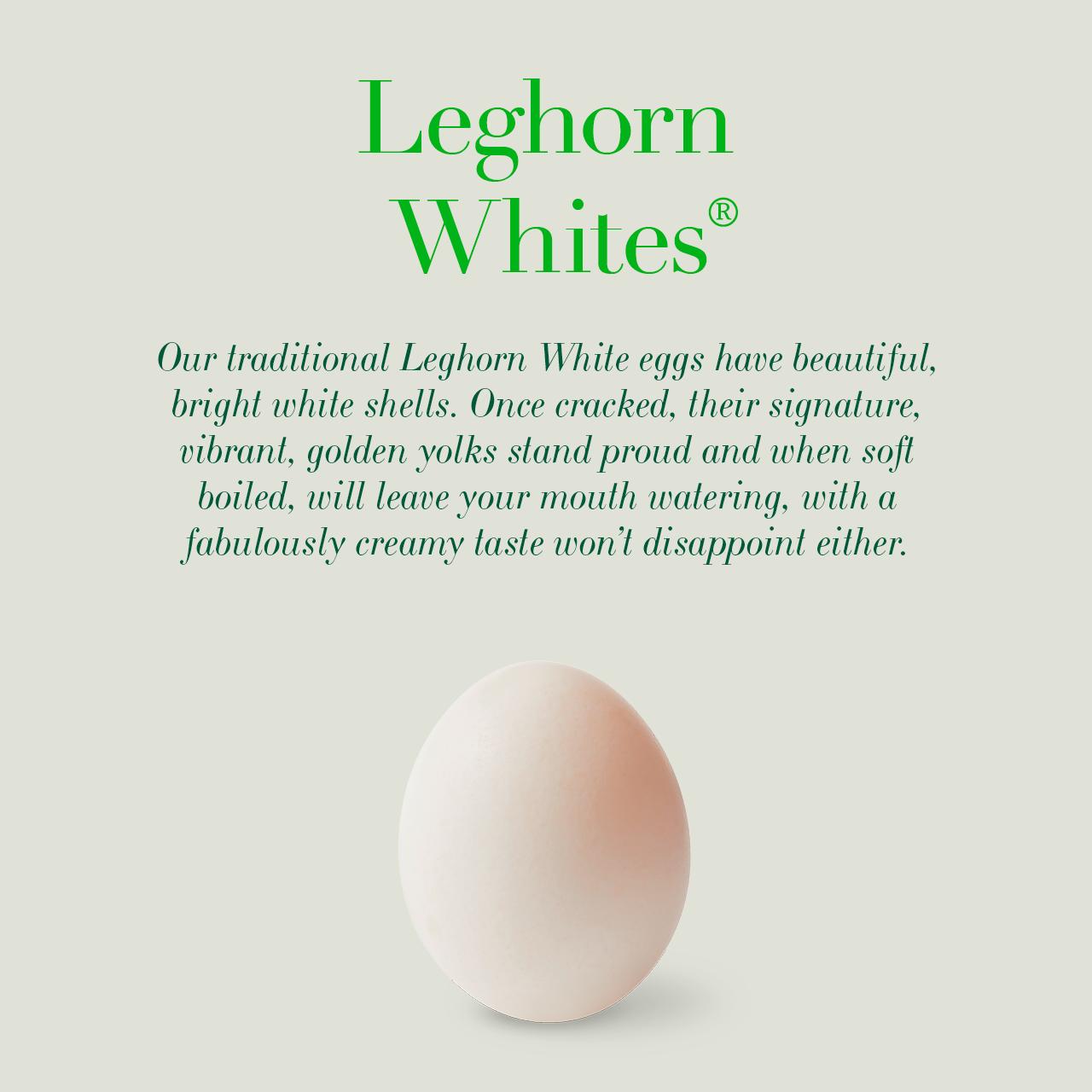 Clarence Court Traditional Leghorn Whites Large Free Range Eggs x6 thumbnail 3