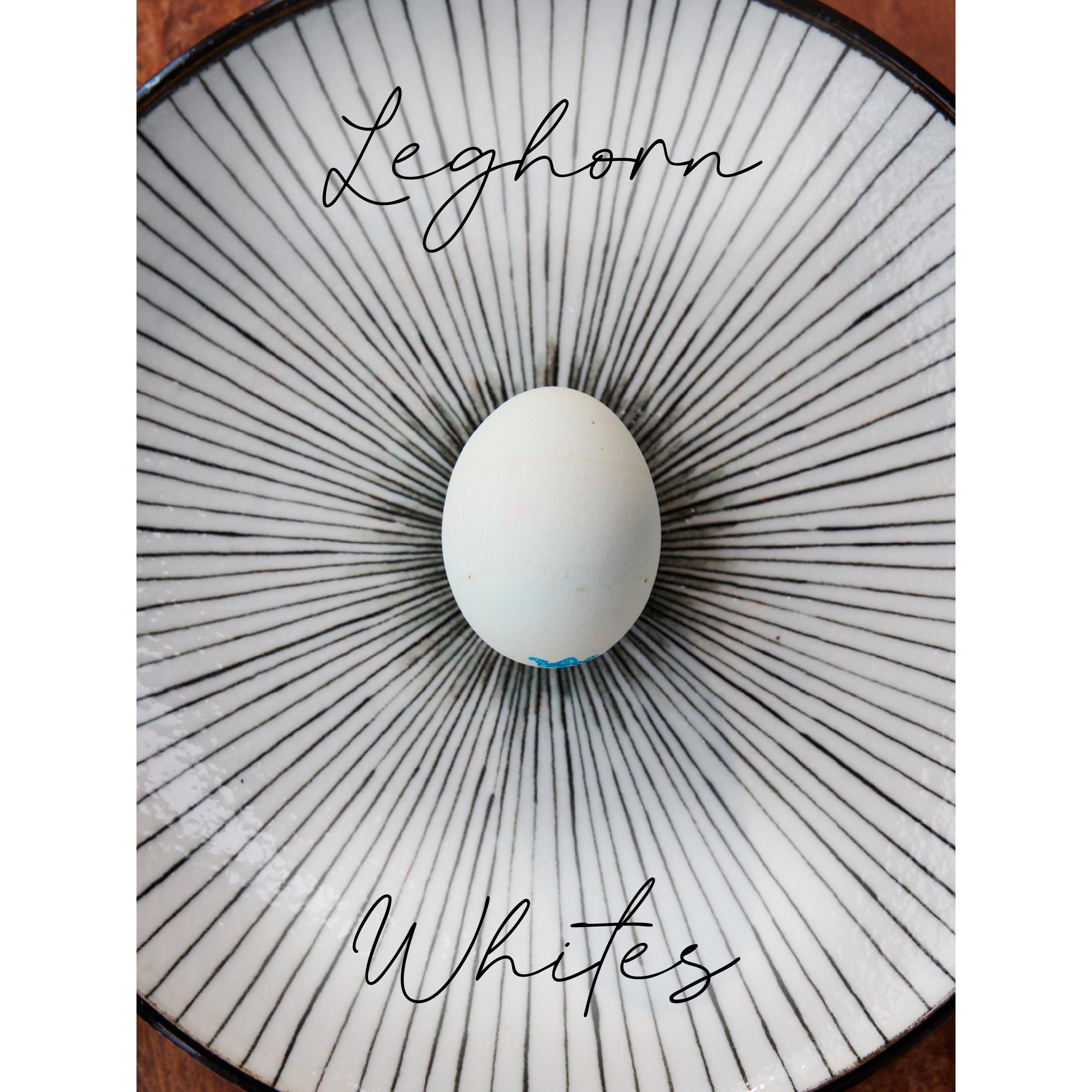 Clarence Court Traditional Leghorn Whites Large Free Range Eggs x6 thumbnail 5