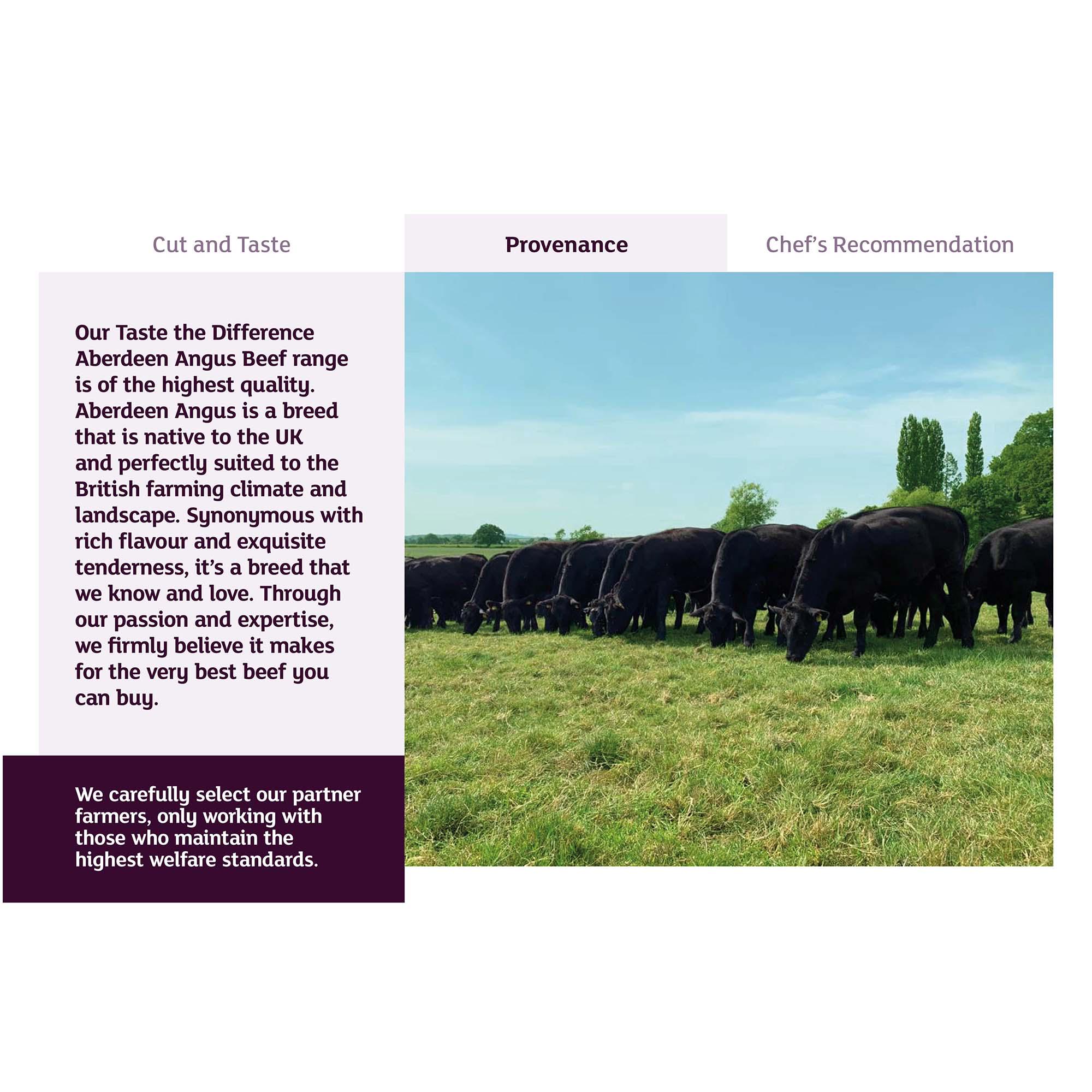 Sainsbury's 4 x 245g Aberdeen Angus Thick Cut Fillet Steaks, Taste the Difference thumbnail 5