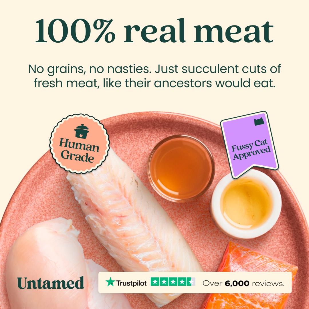 Untamed Wet Cat Food in Jelly Fish Selection Box 6 x 75g thumbnail 3