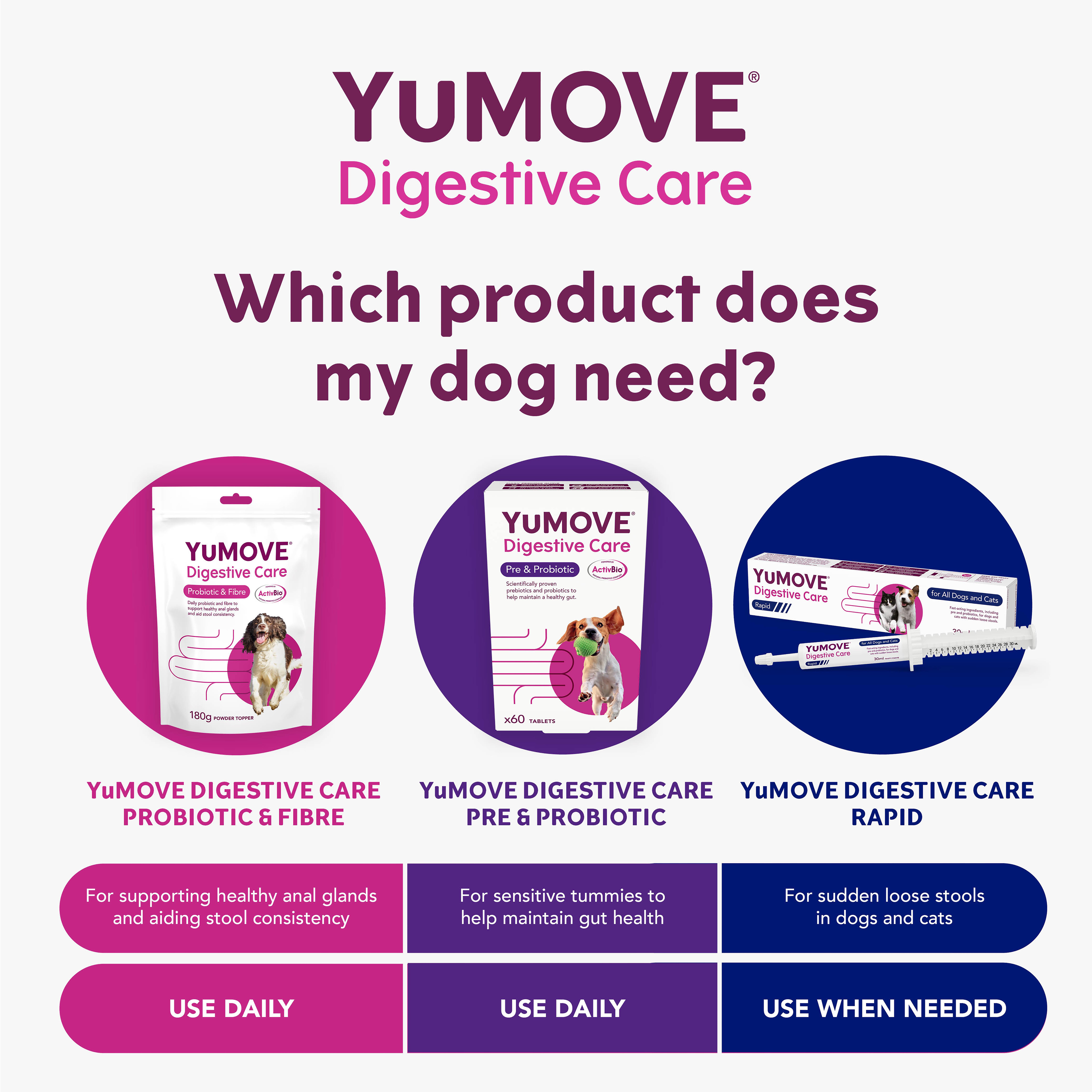 Yumove Digestive Care Rapid for All Dogs & Cats Tasty Paste 30ml thumbnail 5