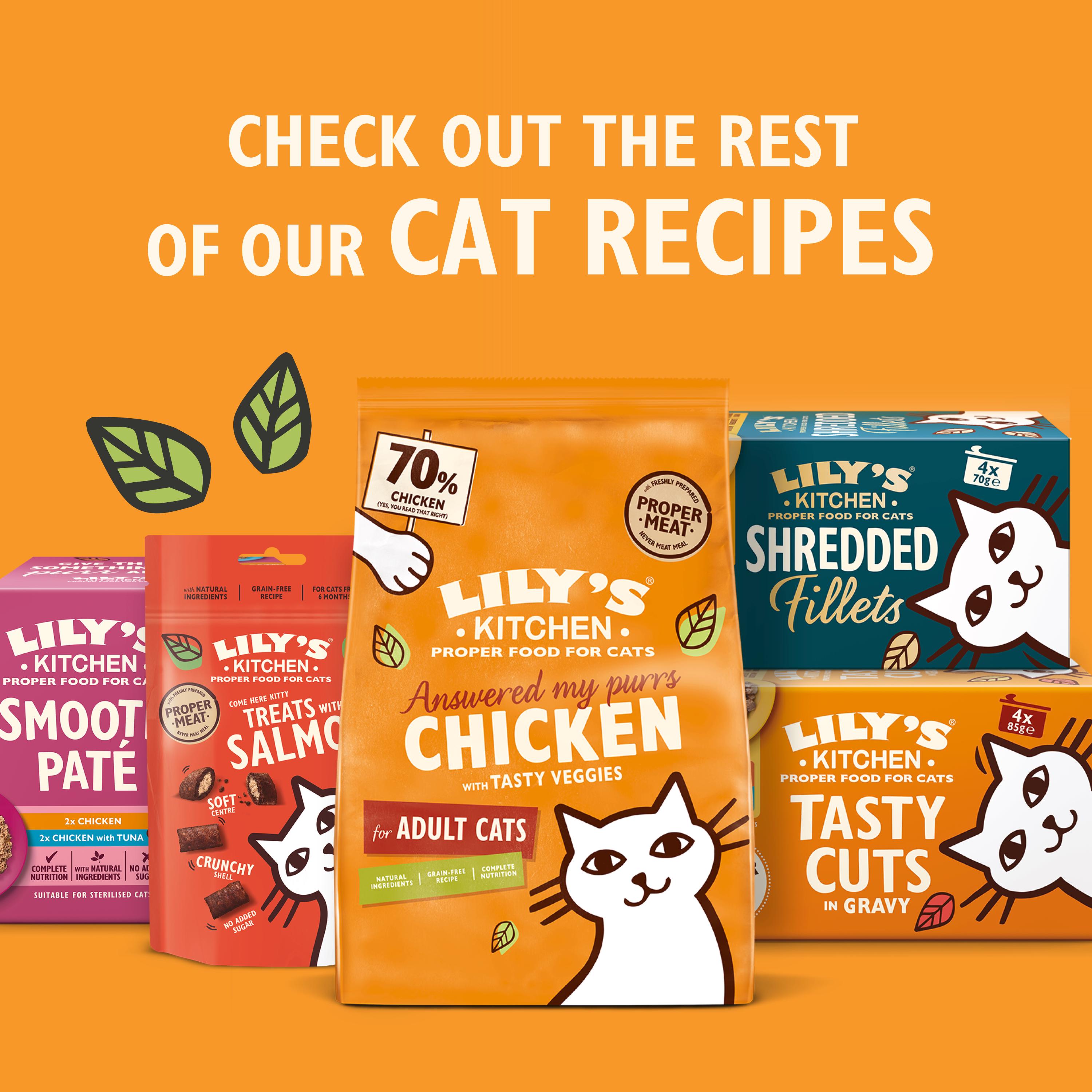 Lily's Kitchen Shredded Fillets in Broth Multipack for Cats 4 x 70g thumbnail 6