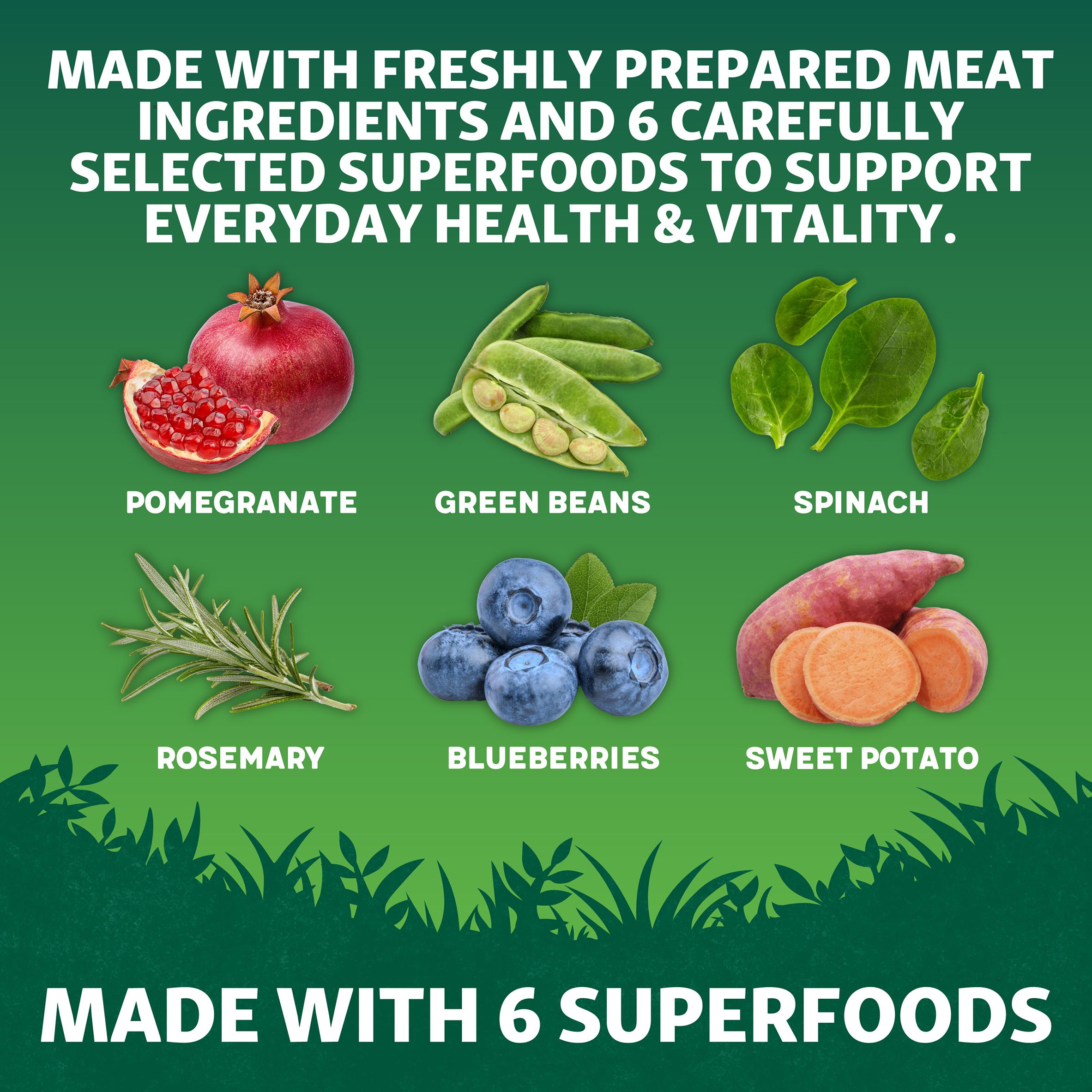 Harringtons Superfoods Dry Adult Dog Food Turkey & Veg 1.7kg thumbnail 4