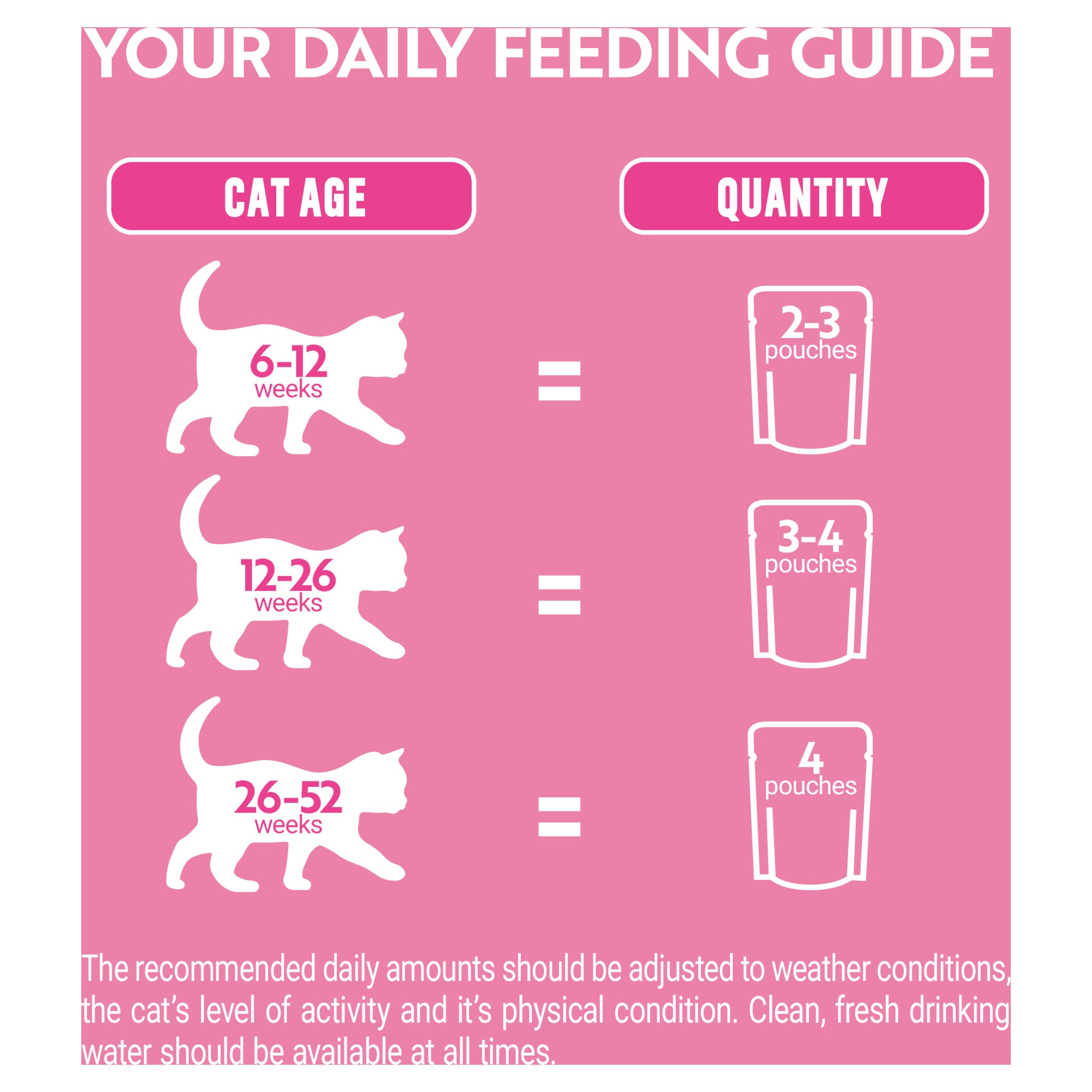 Purina One Kitten 1-12 Months Cat Food 8 x 85g thumbnail 6