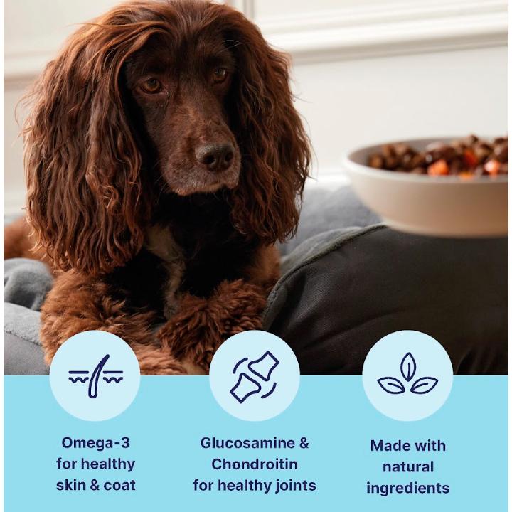 Tails.com Inner Vitality Adult Dog Food 1-7 Years 6 x 150g thumbnail 2