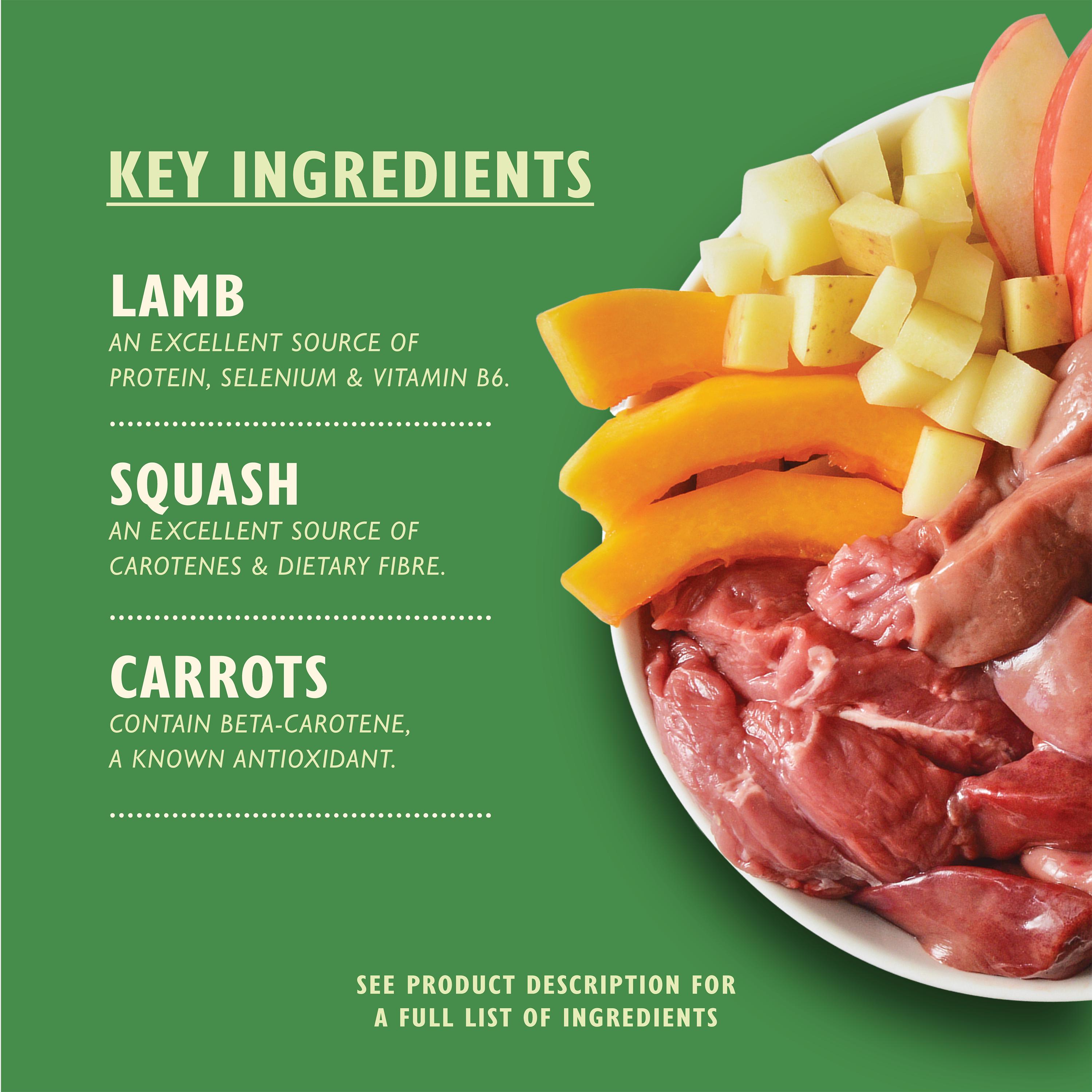 Lily's Kitchen Lamb Hotpot with Potatoes Adult Wet Dog Food 150g thumbnail 2