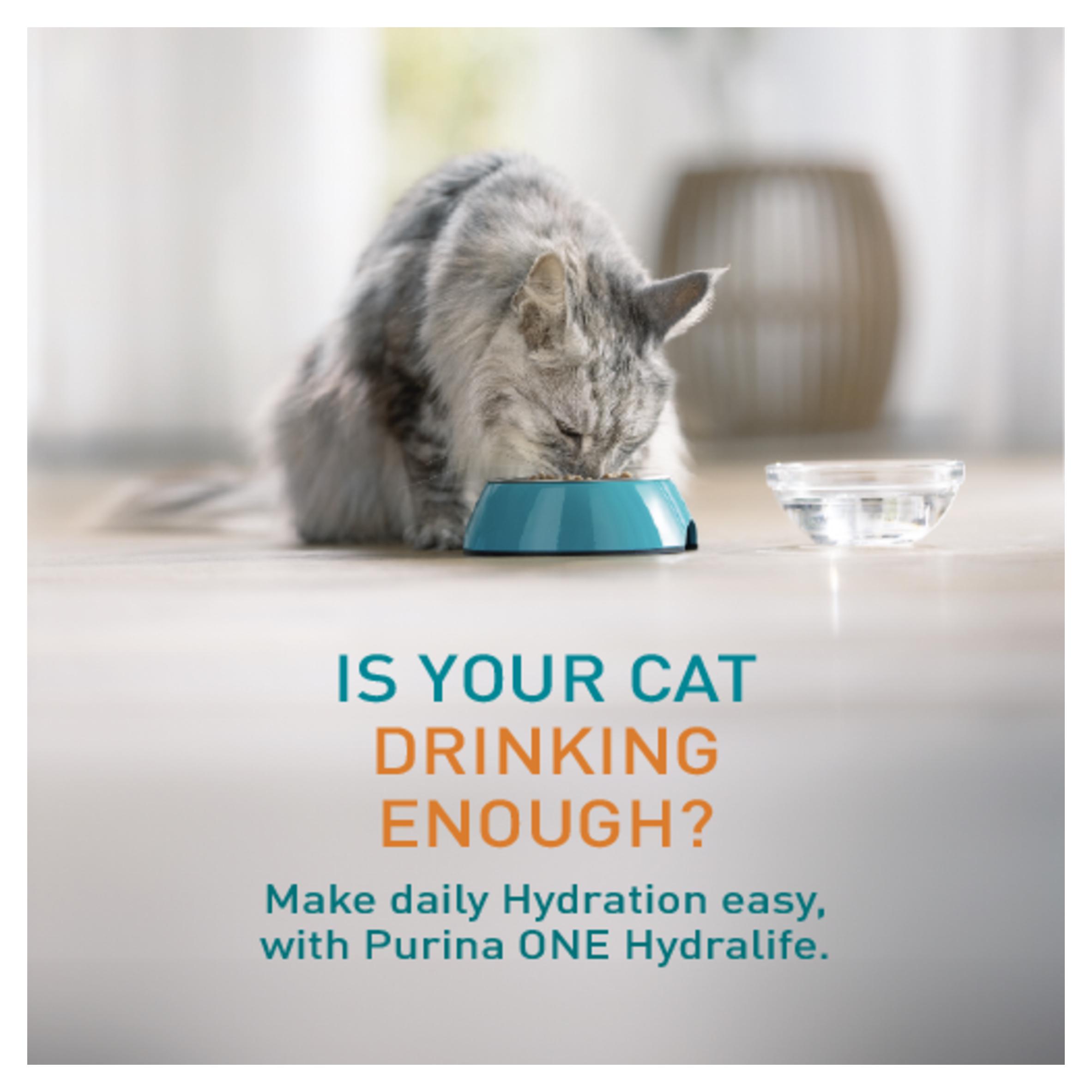 Purina One Hydralife Chicken Cat Supplements 6 x 50g thumbnail 2