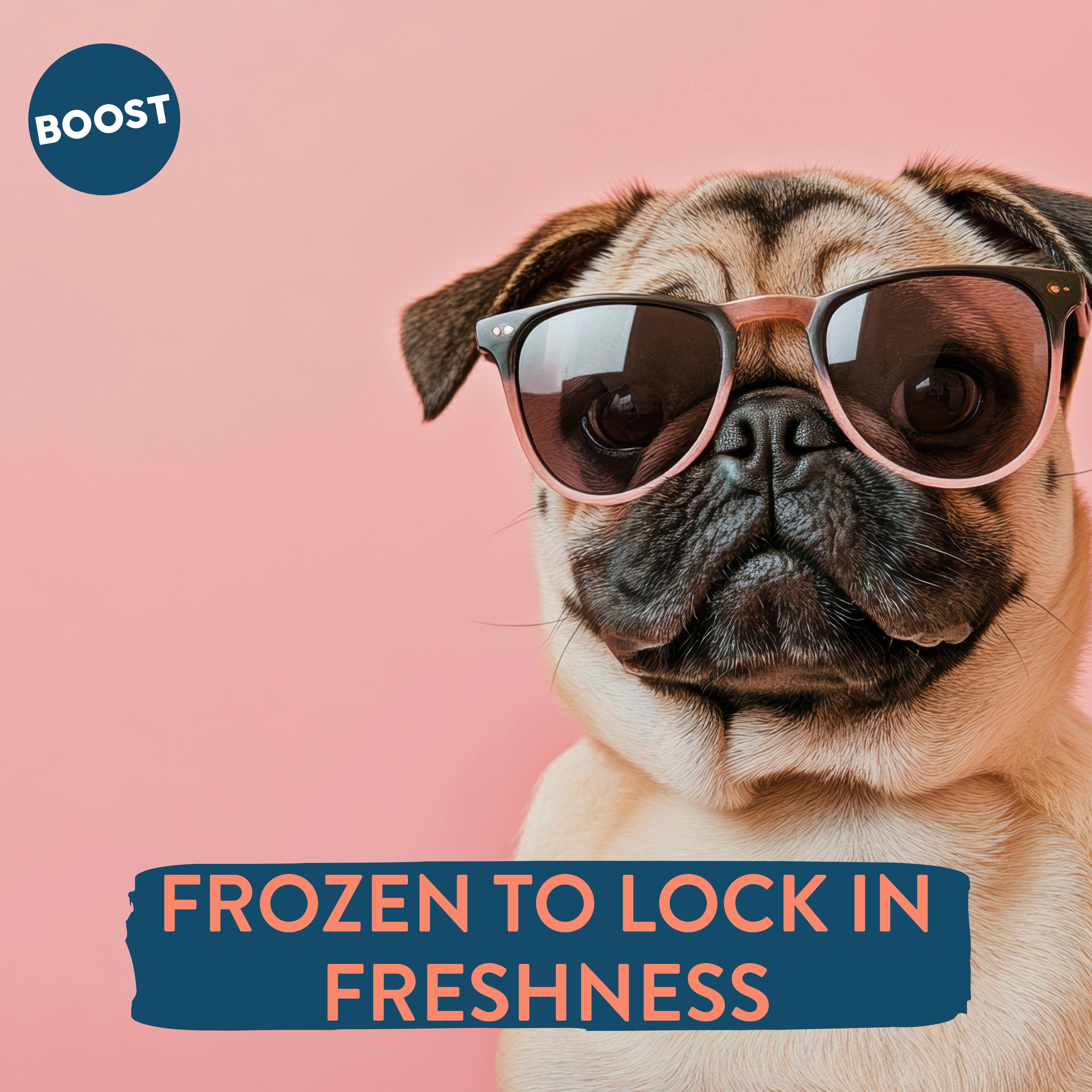 Boost Fresh Food Lamb with Superfoods Dog Food 400g thumbnail 5