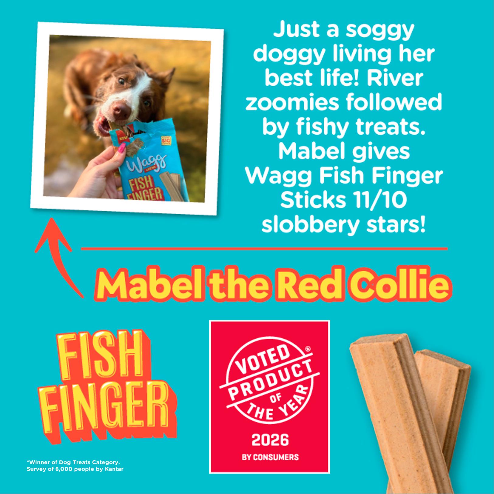 Wagg Chews Fish Fingers Sticks Dog Treats 130g thumbnail 2