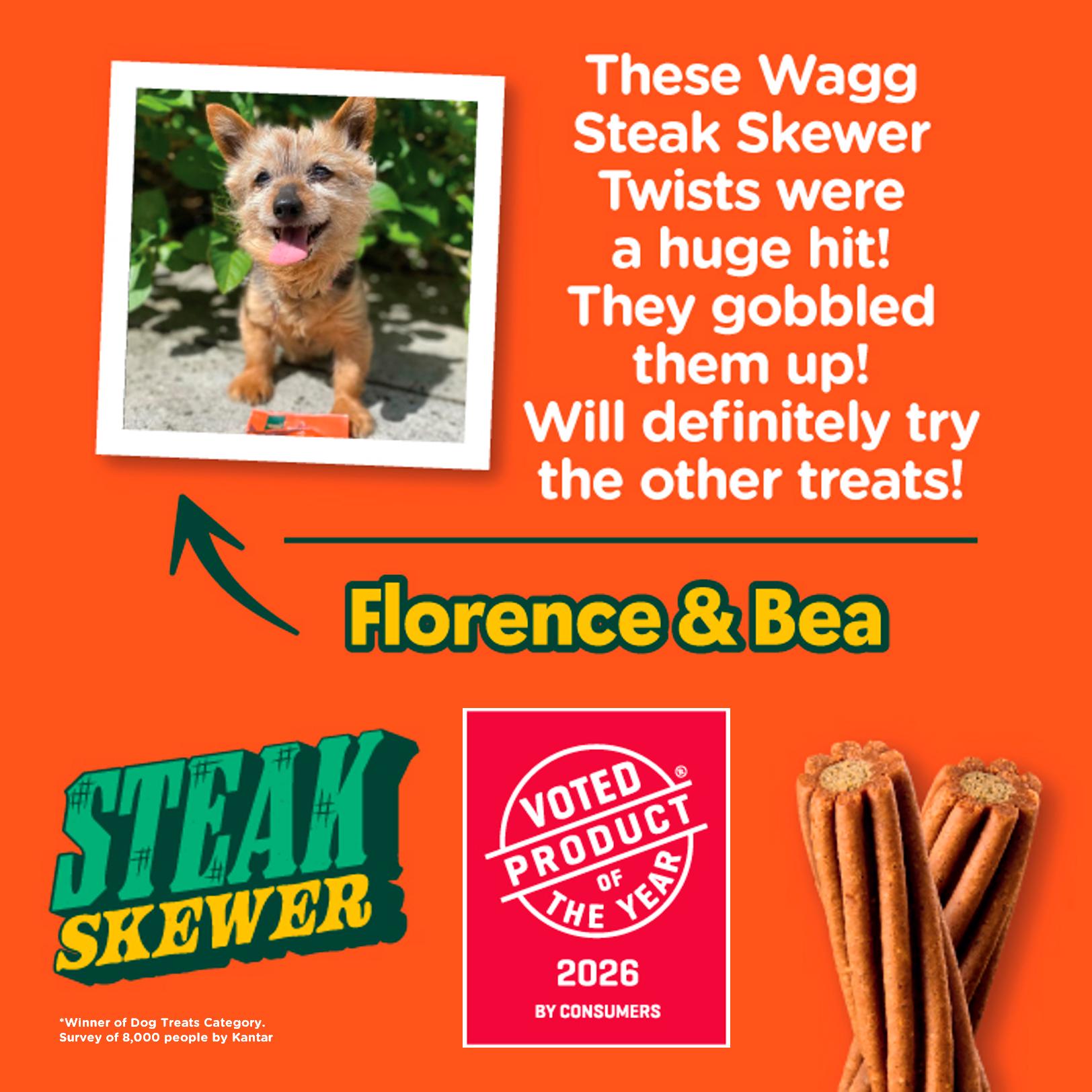 Wagg Chews Steak Skewer Twists Dog Treats 110g thumbnail 2