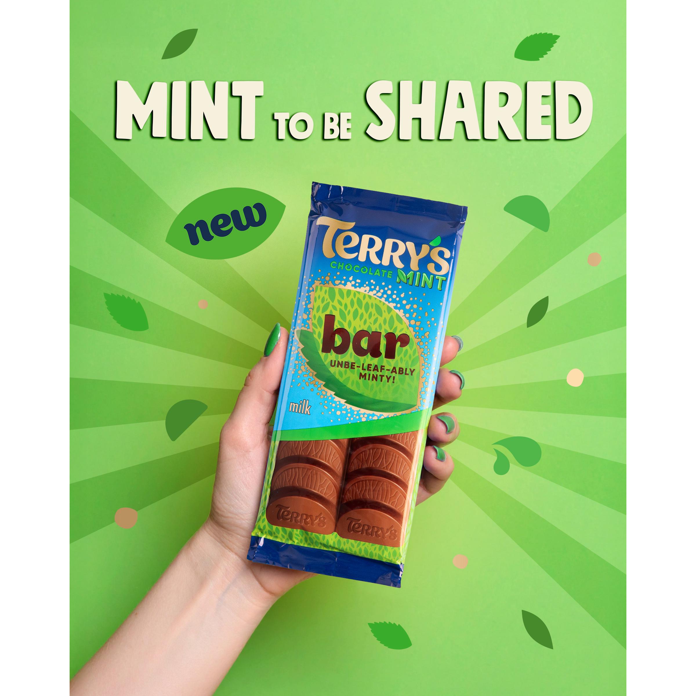 Terry's Milk Chocolate Mint Bar 90g thumbnail 2