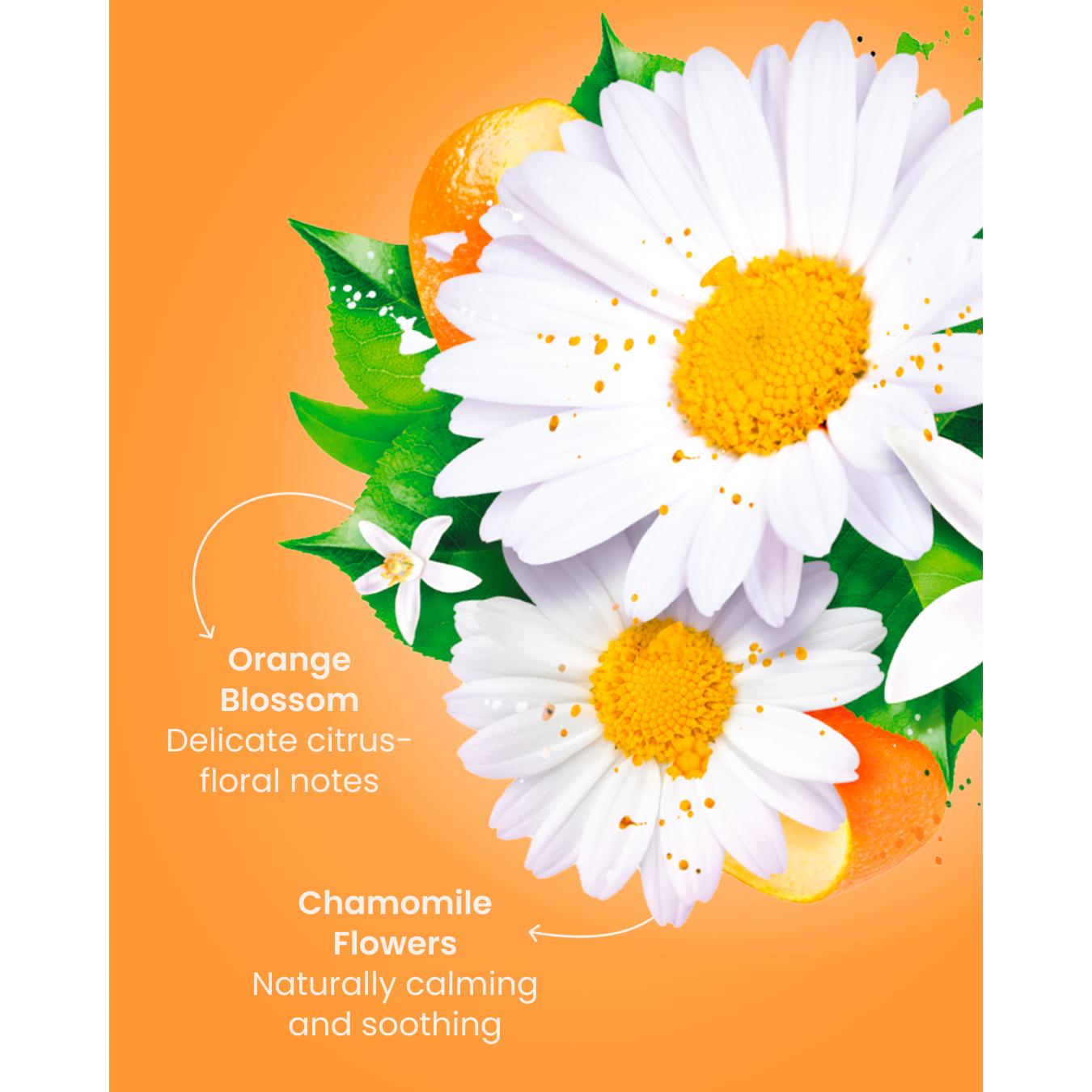 Good Earth Herbal Tea Chamomile with Orange Blossom 21g thumbnail 6