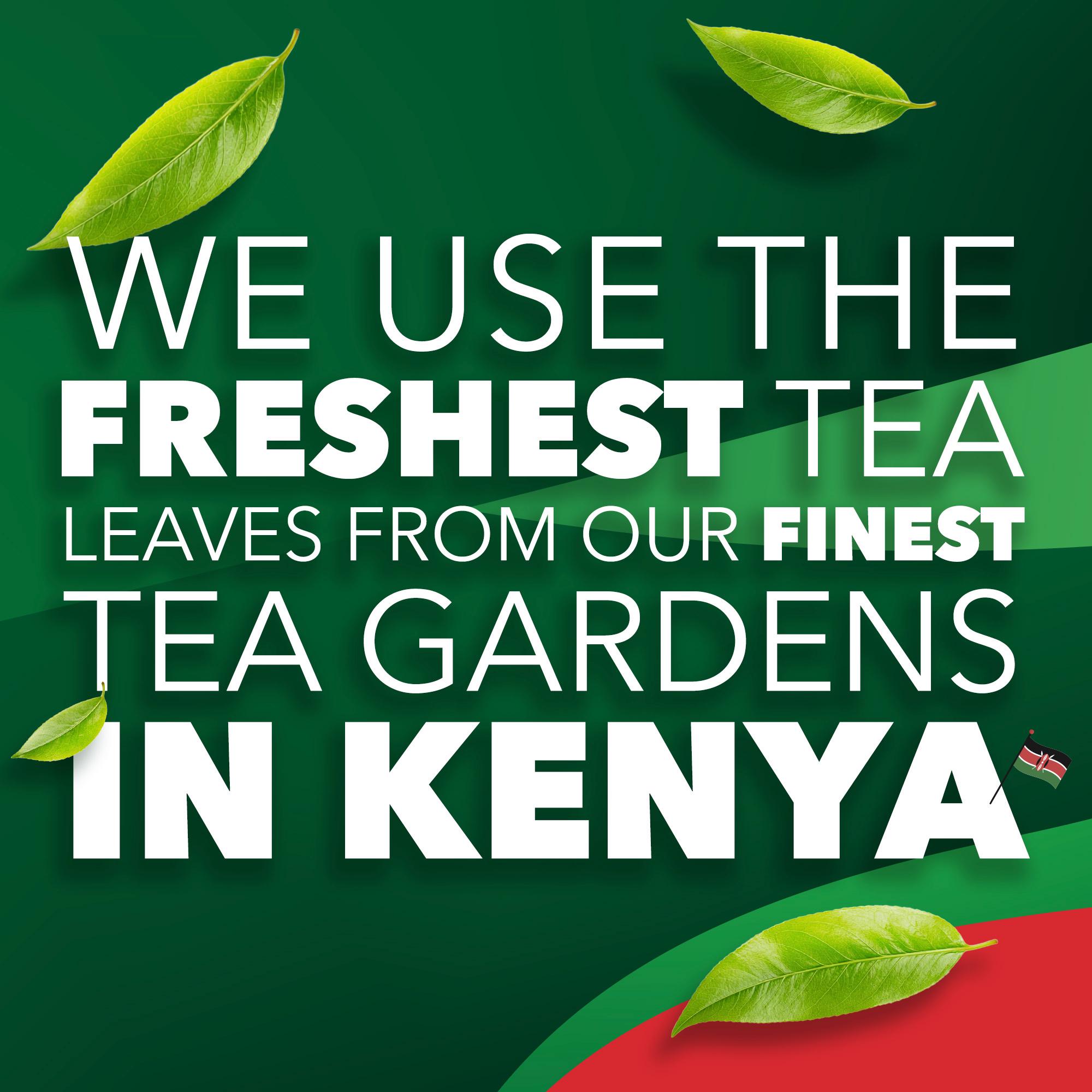PG Tips Original Loose Tea 250g thumbnail 6